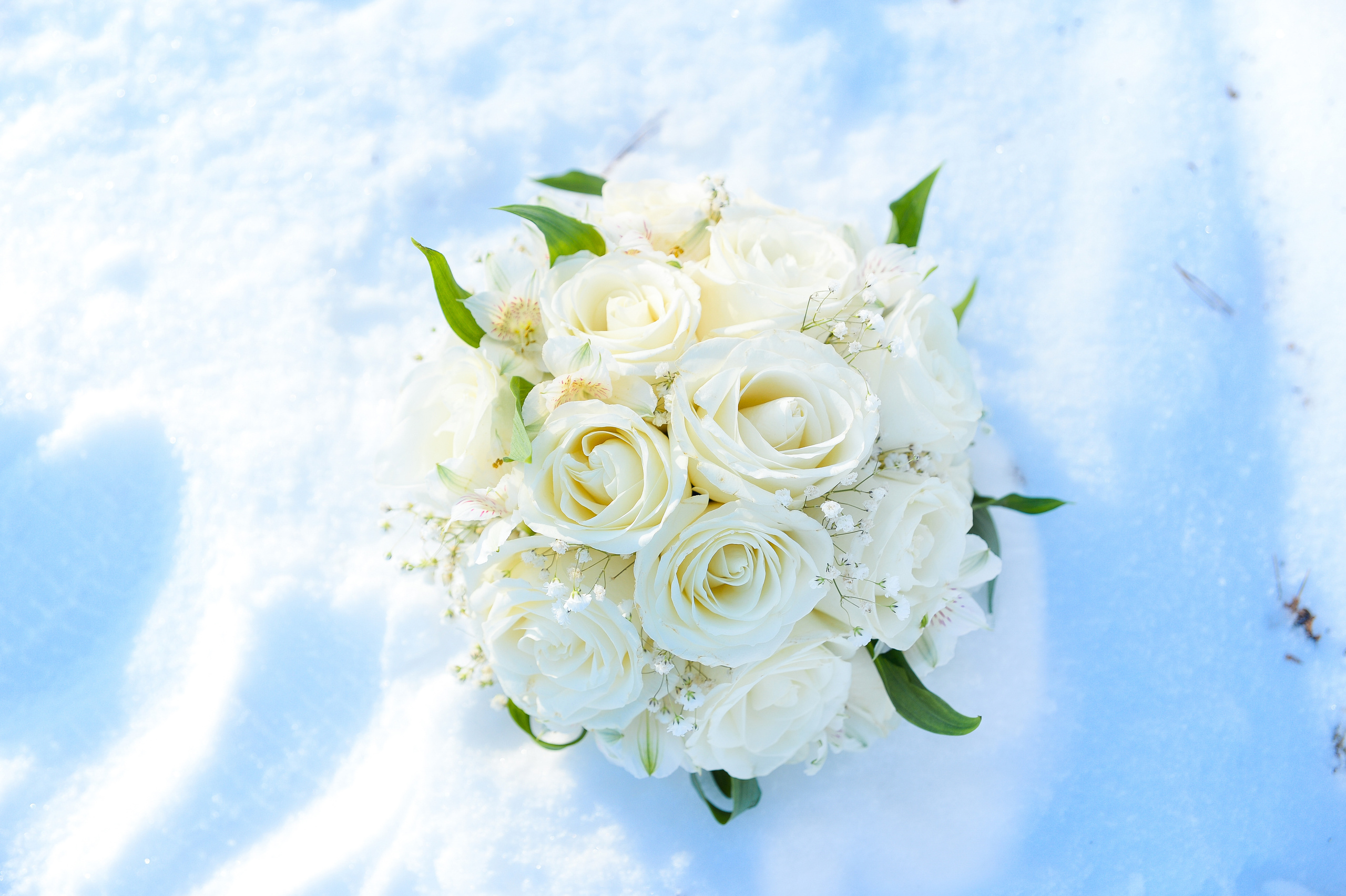 Свадьбы. Свадебный и семейный фотограф в Москве и Подмосковье Татьяна Емцова