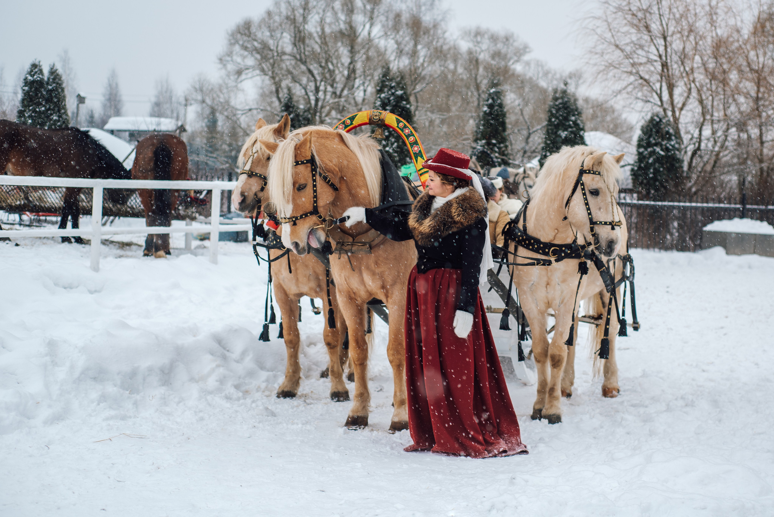 Зимняя парфорсная охота. Фотограф Диана Вальтер