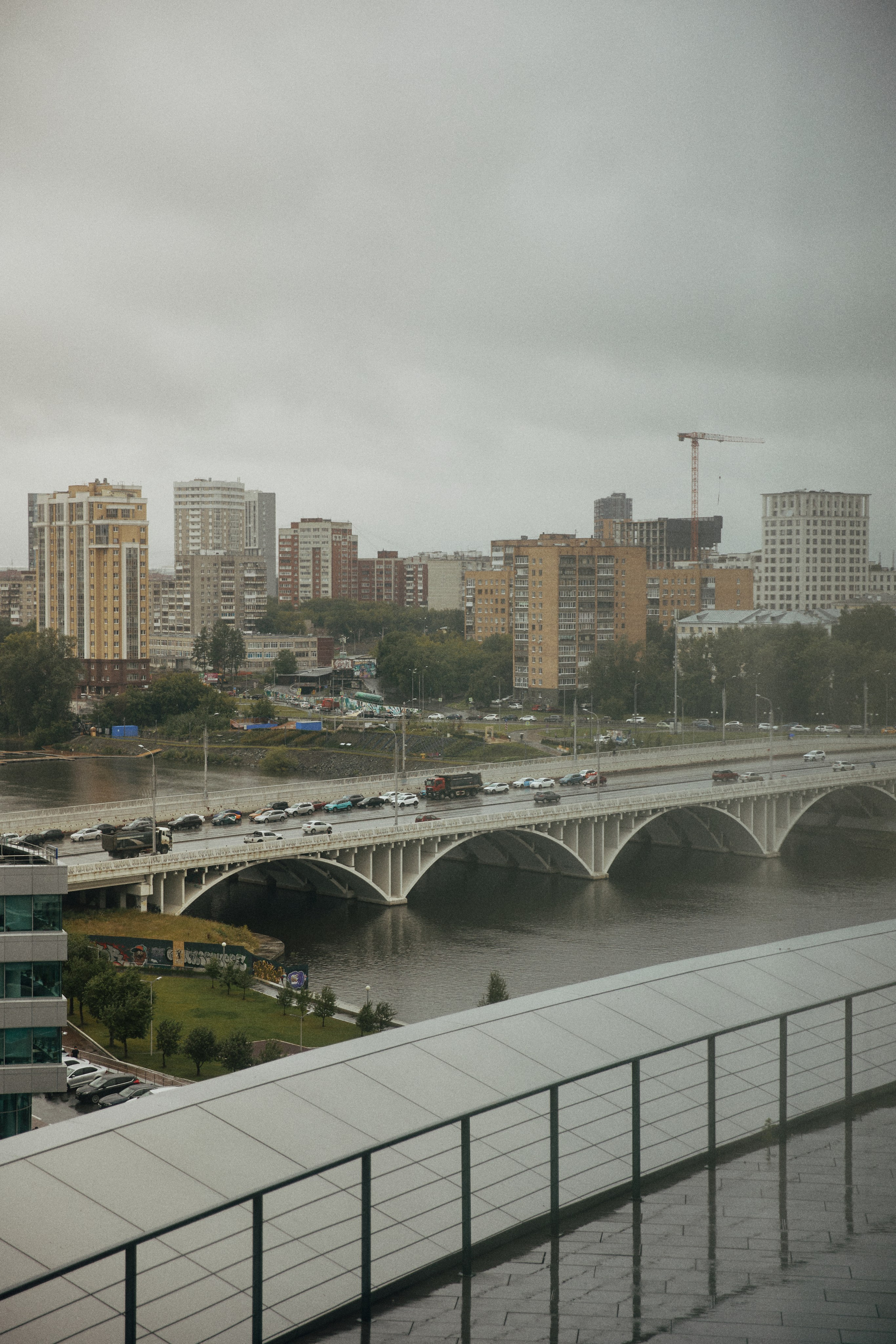 A NEW FAMILY TREE. Дмитрий Мазуркевич: Профессиональный Репортажный Фотограф