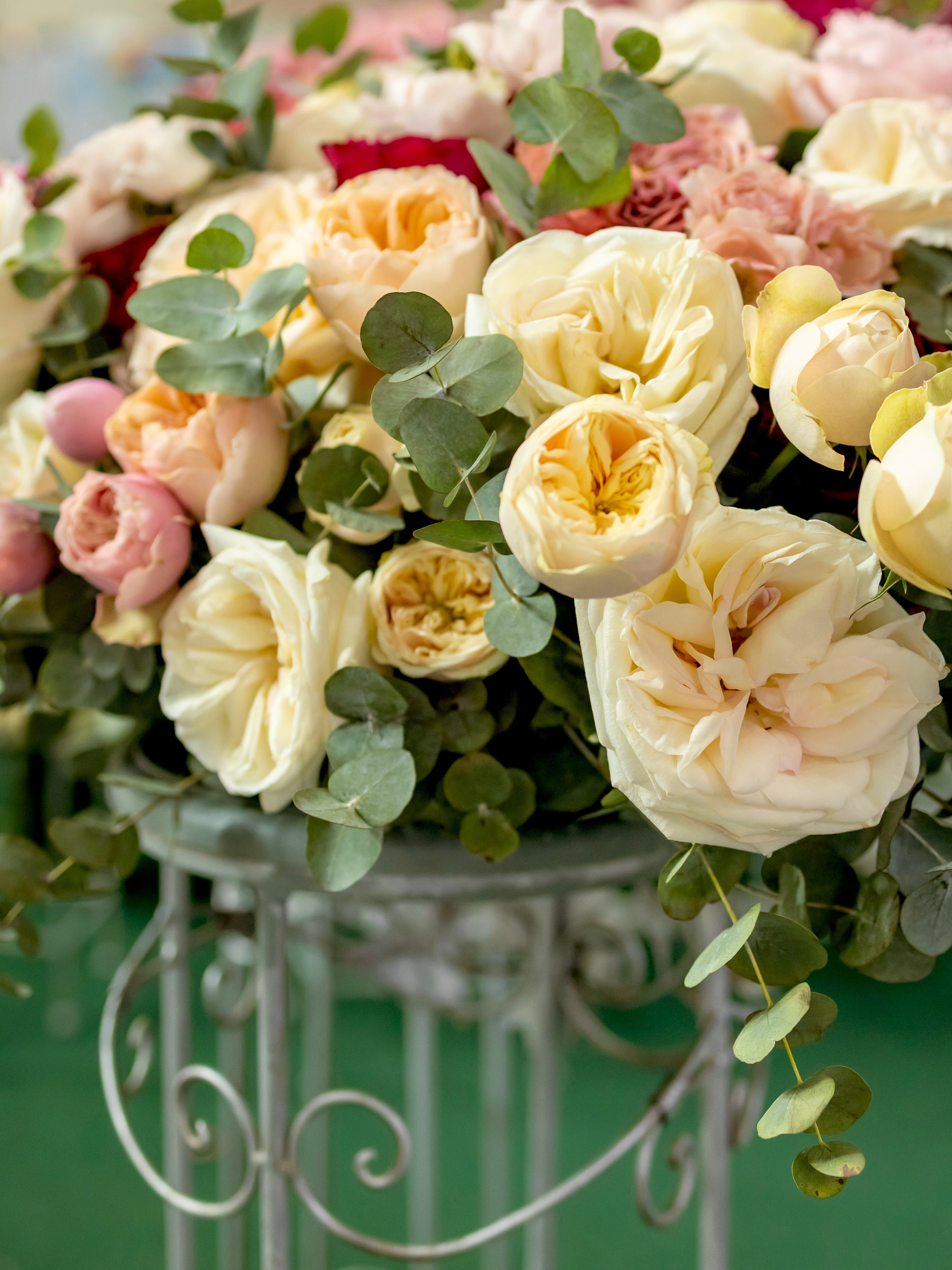 Цветы-Экспо 2024. Фотосессии и репортаж — Фотограф в Москве — Рина Серёгина