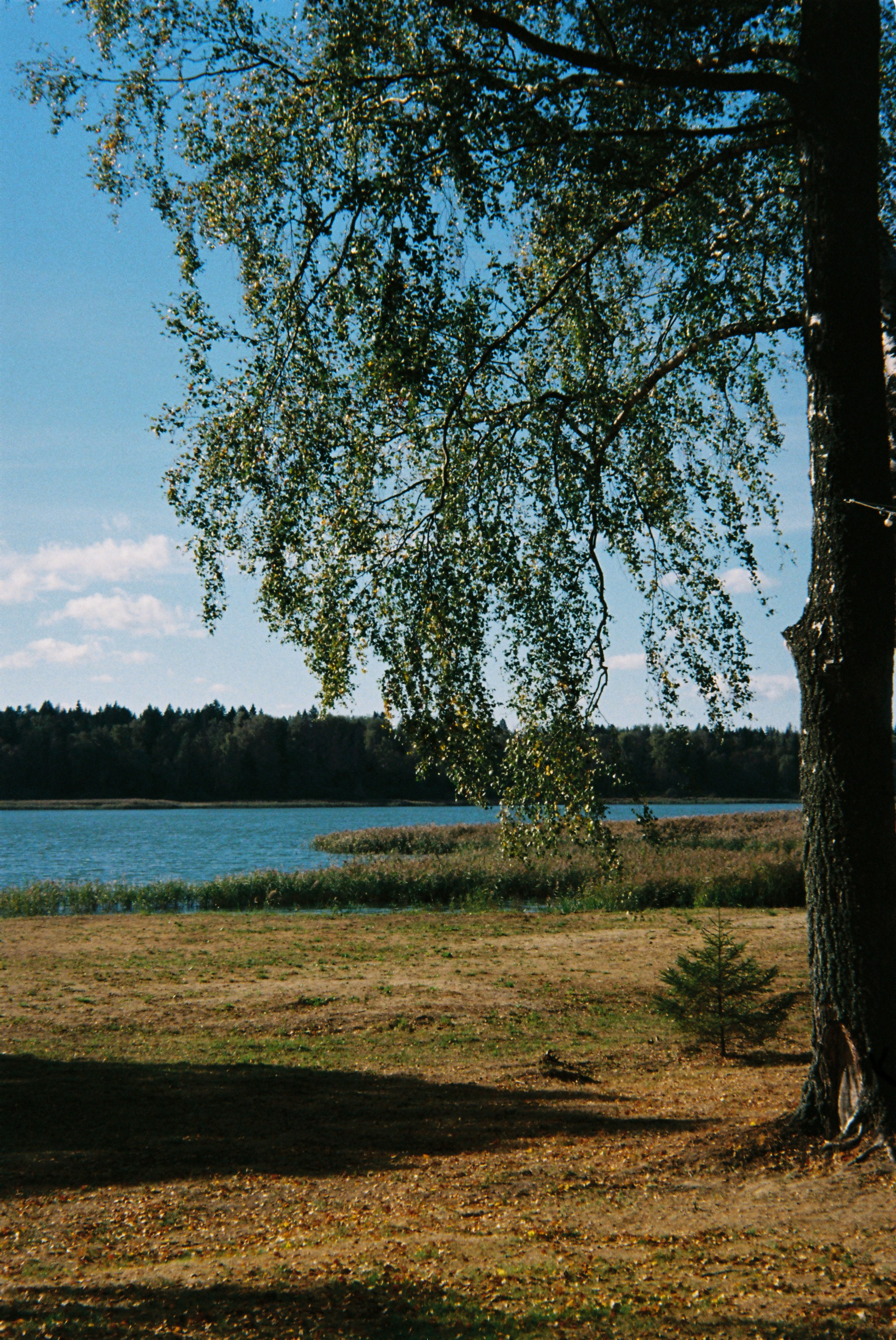 Пленка. Фотограф Алина Диева Москва | Токио