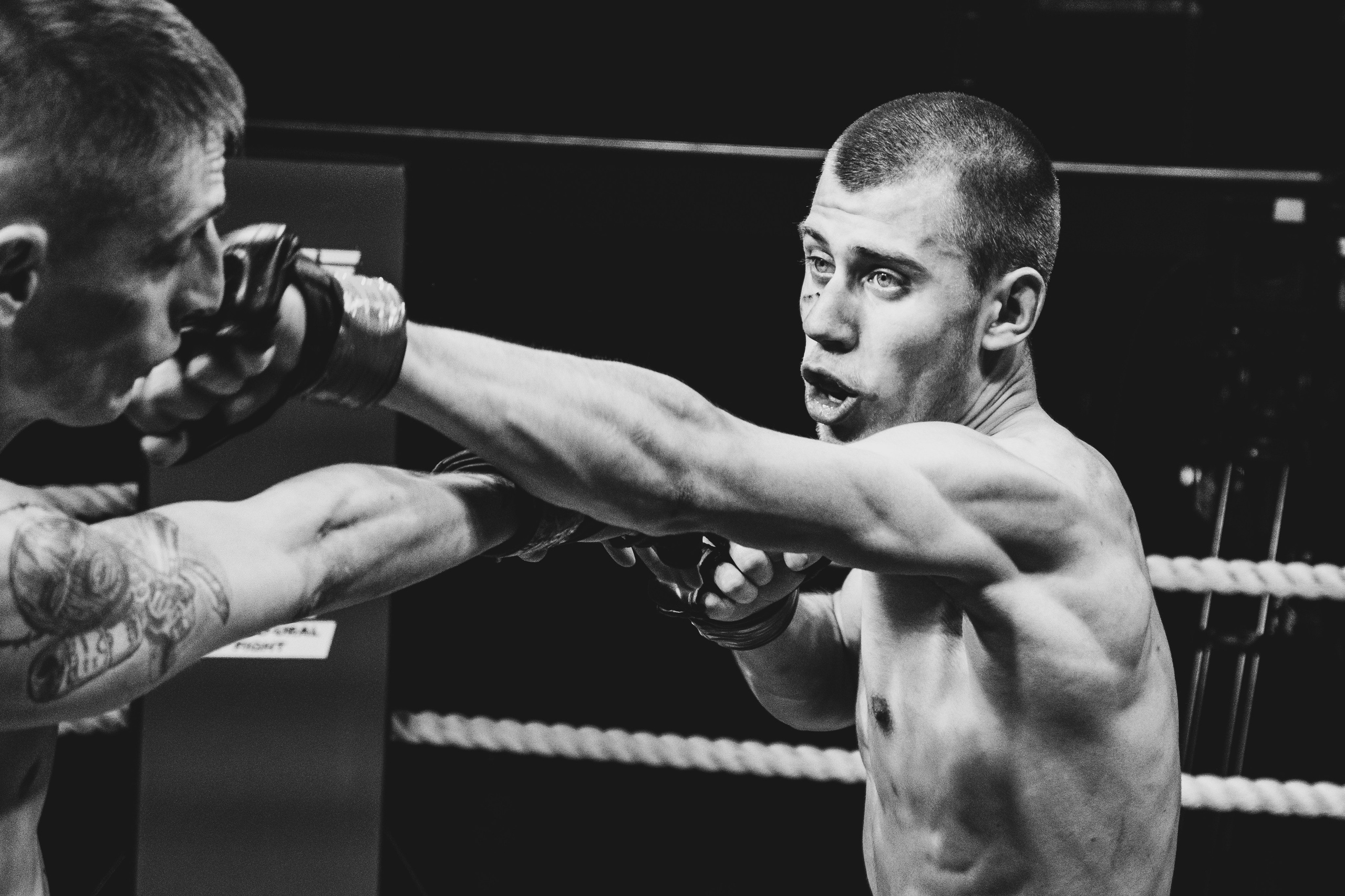 Volga-Ural Fight. Фотограф в Севастополе Максим Черенёв