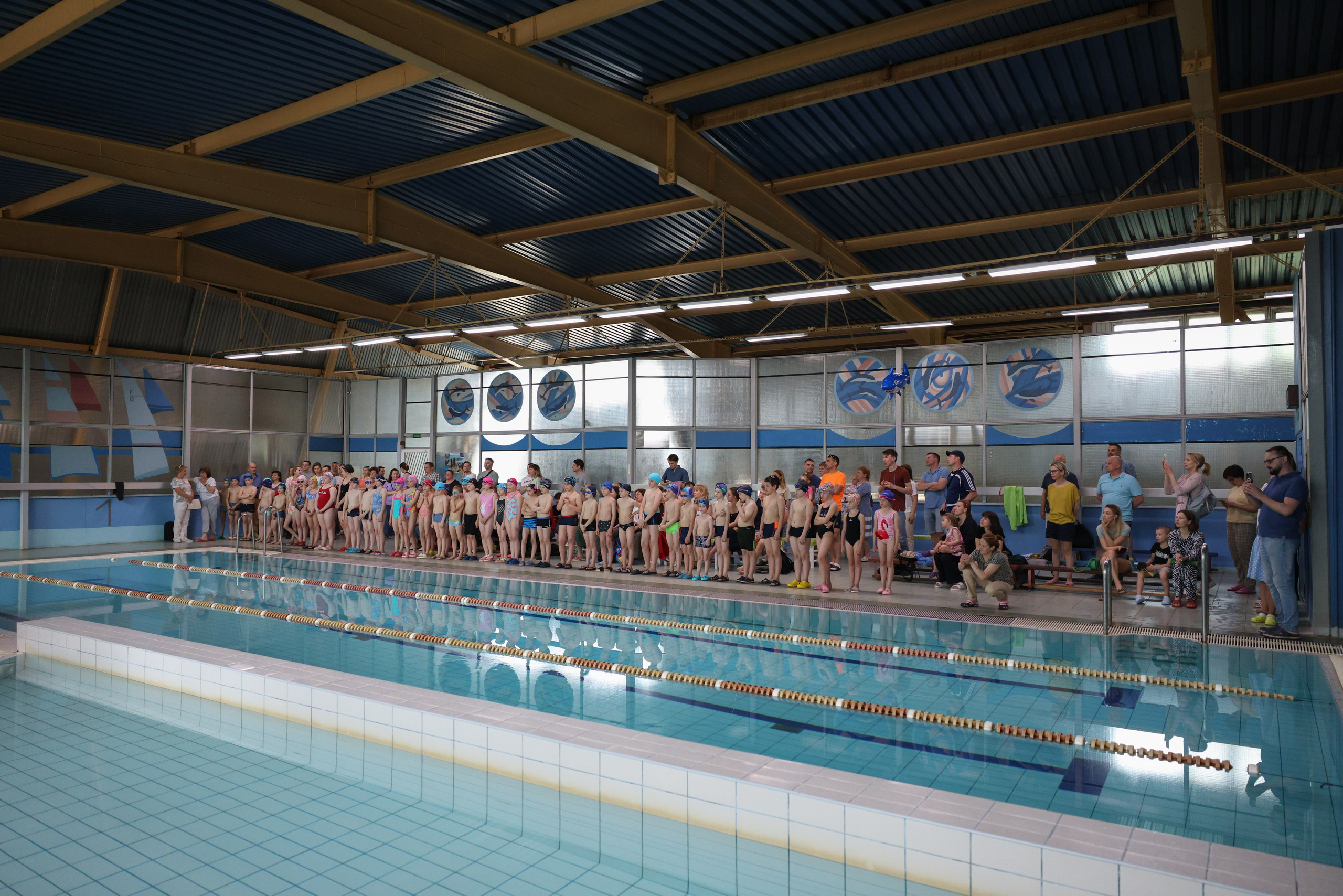 Веселый дельфин. Плавание. Дети 8-9 лет. Фотограф Александр Заломаев