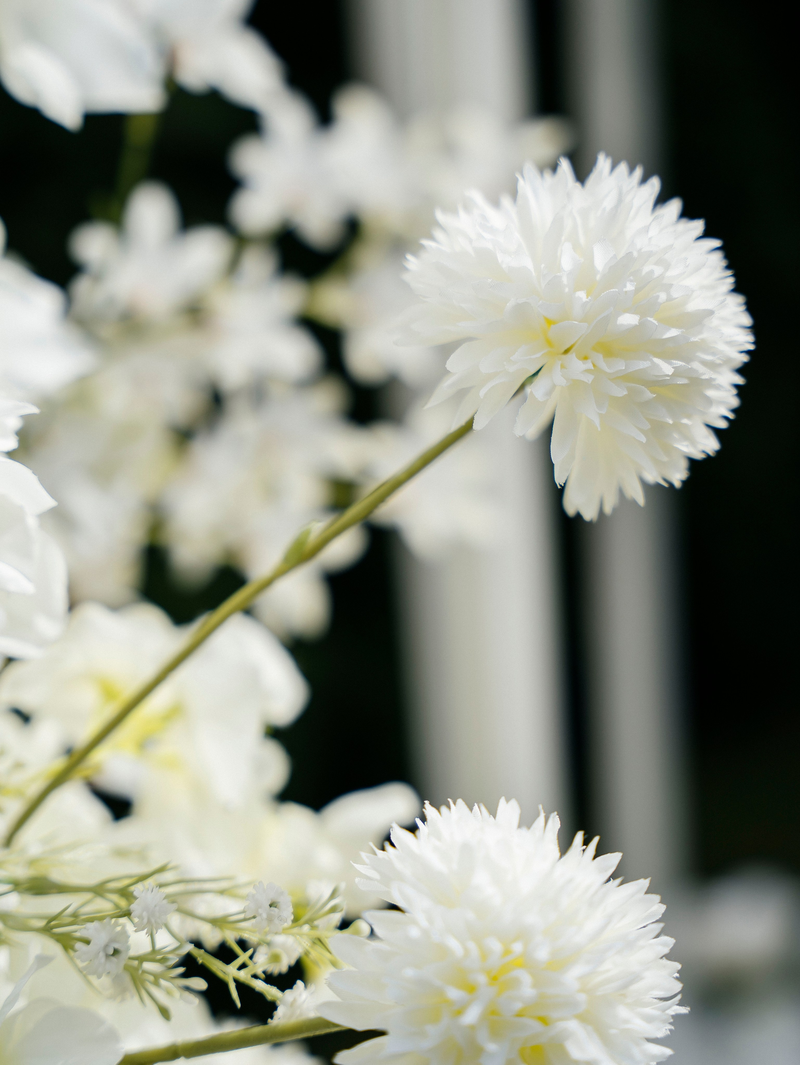 Наталия + Егор. Свадебный фотограф