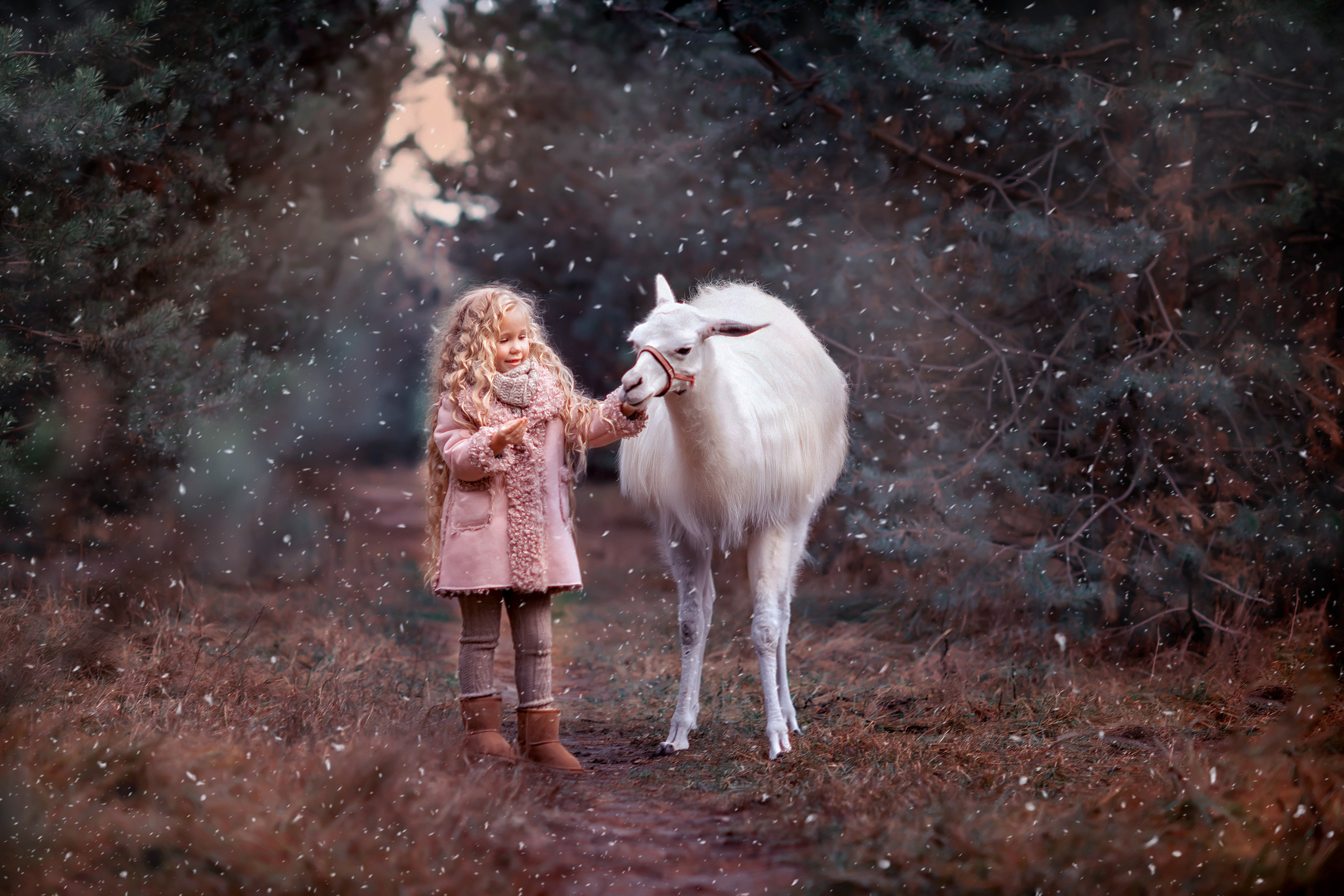 Обучение фото