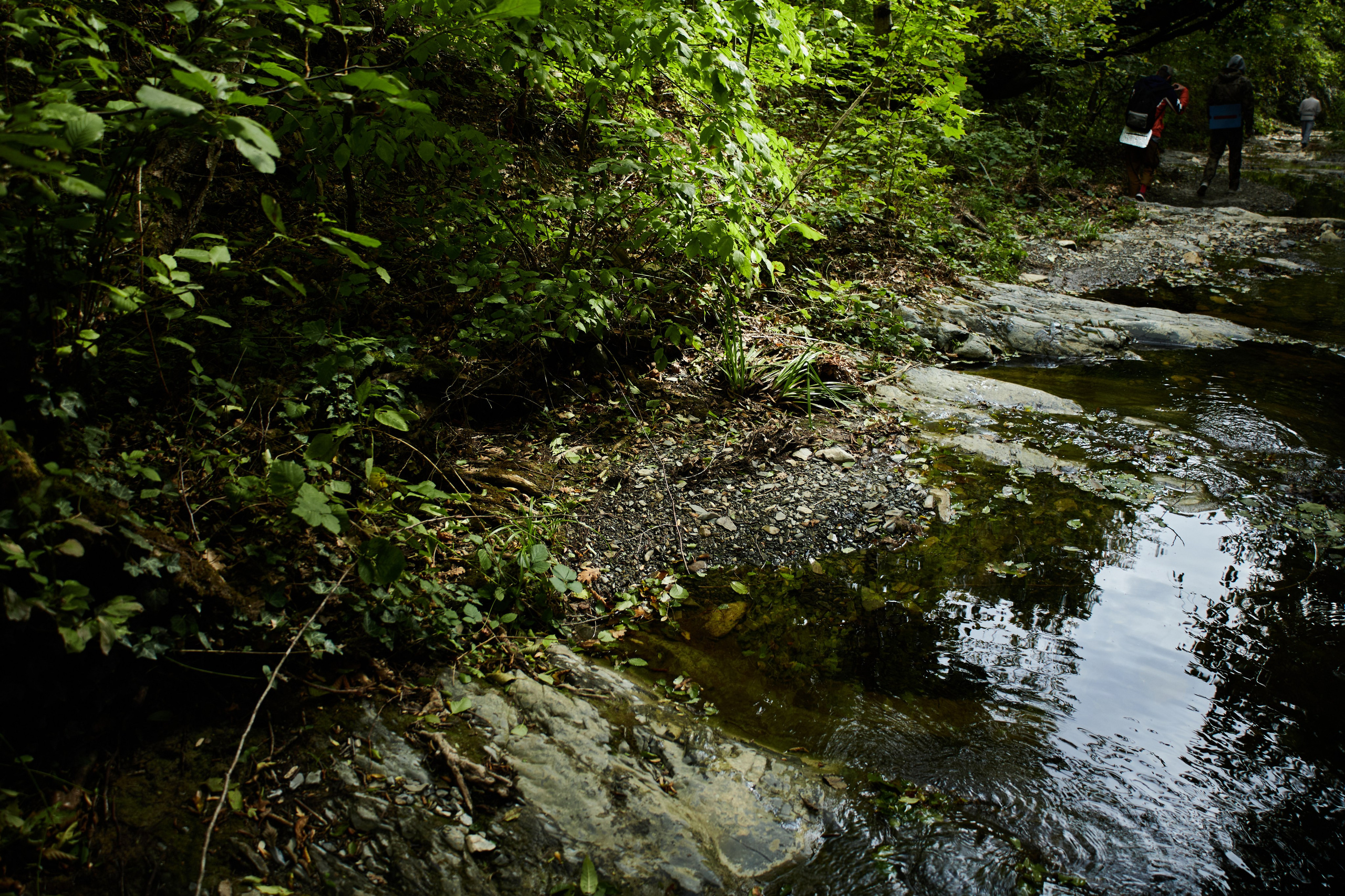 Пейзажи и уличная съёмка