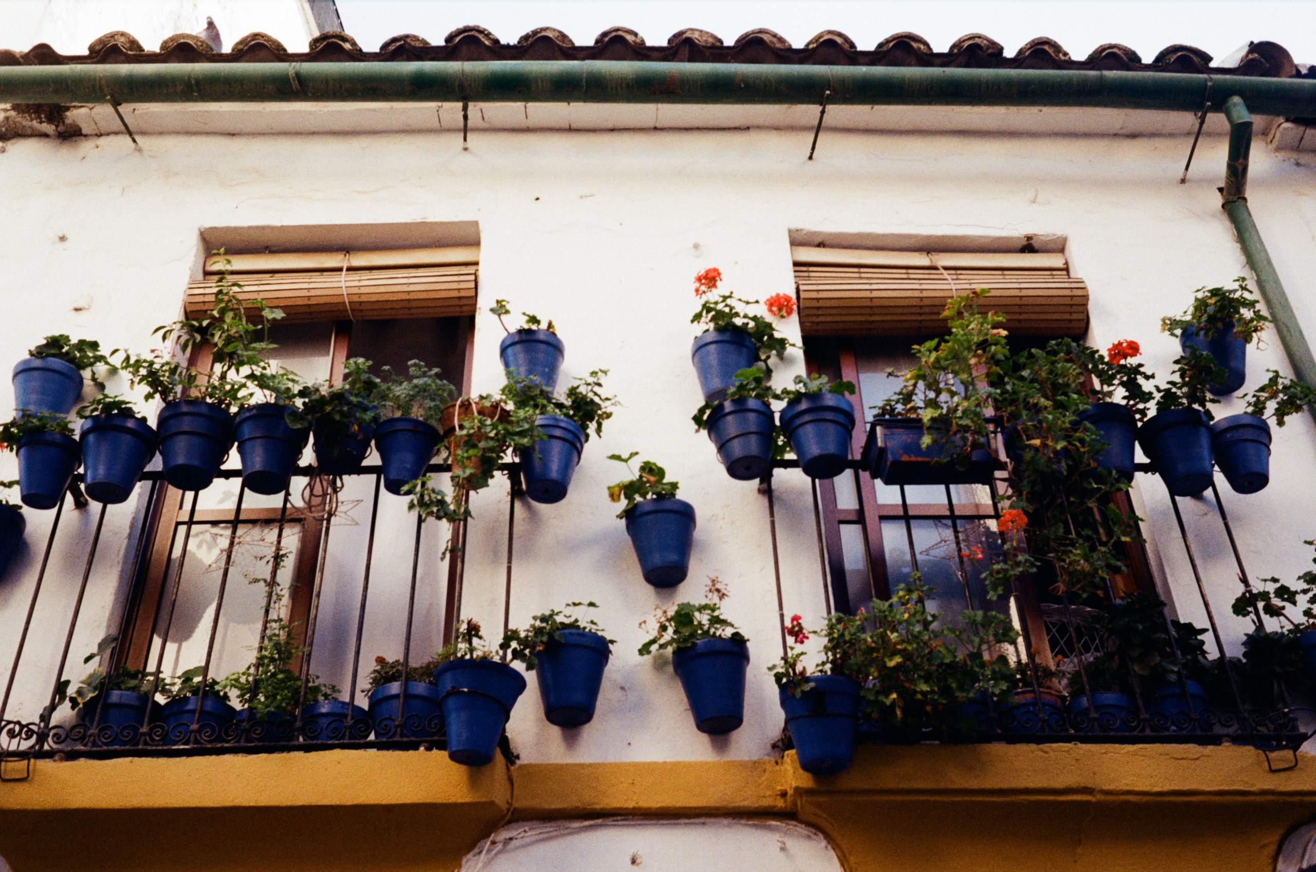 Spain. Regina Platonova