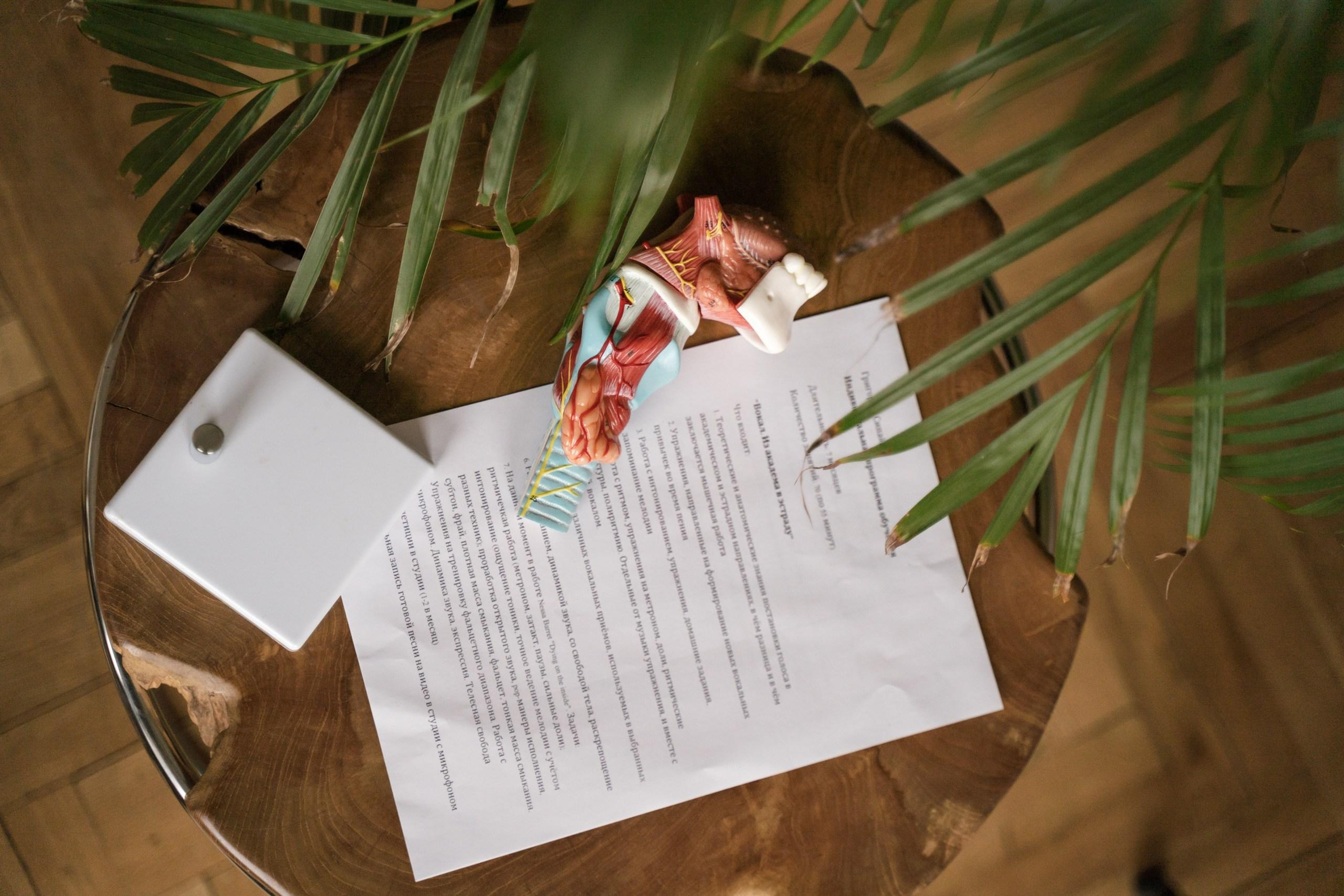 Контент преподавателя по вокалу. Лилия Гоца. Гунфу Шаолинь. Арт-фотография. Ретриты