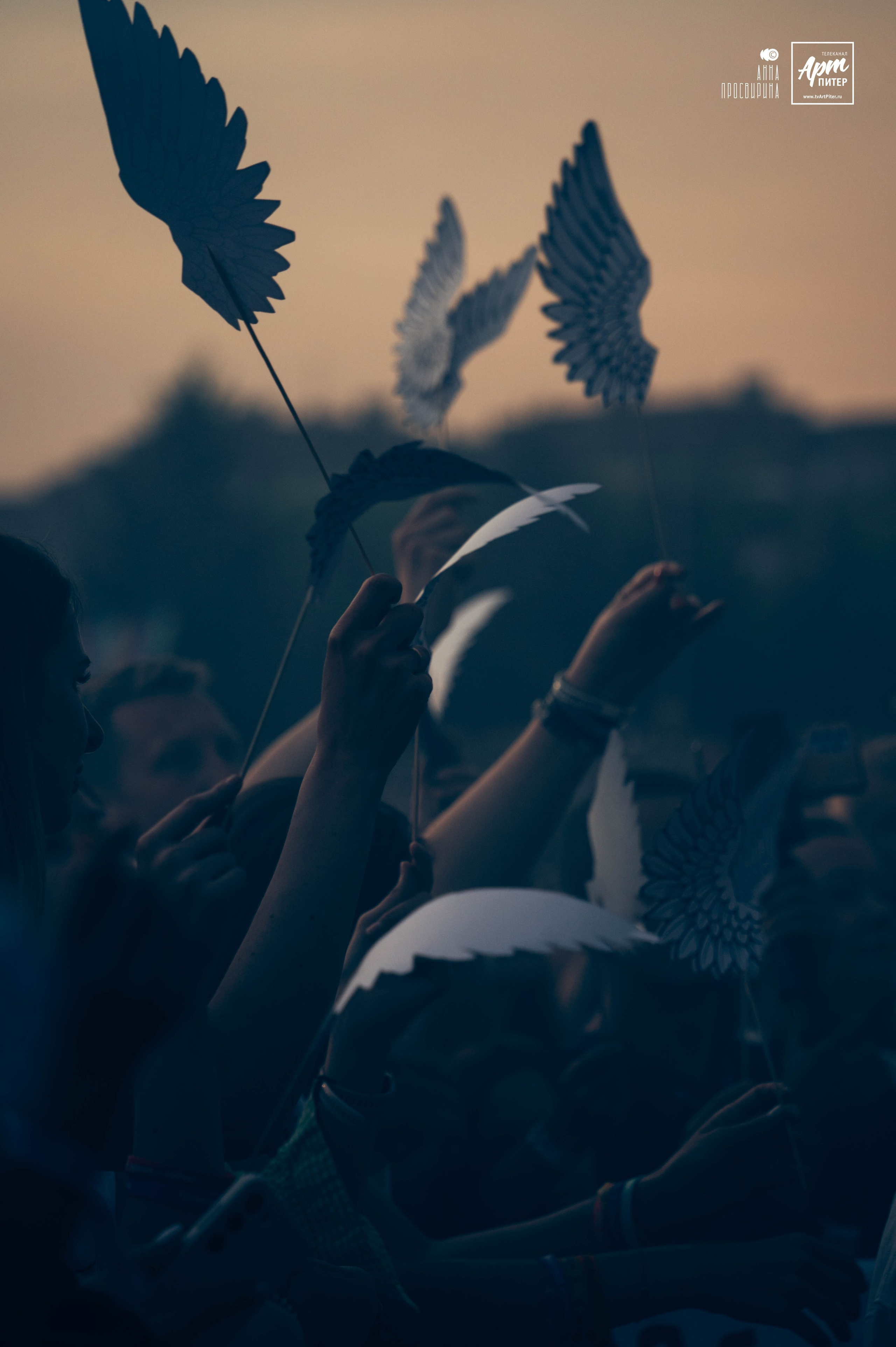 VK Fest 2024. Ваш фотограф в Санкт-Петербурге Анна Просвирина