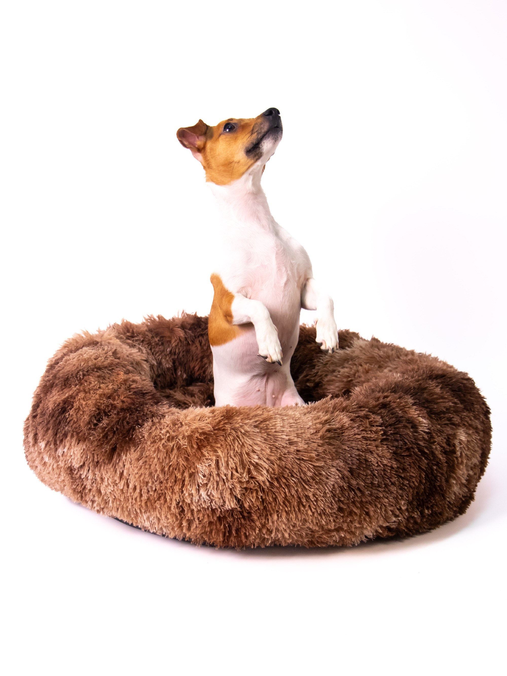 Предметная съемка. Leclerc-studio