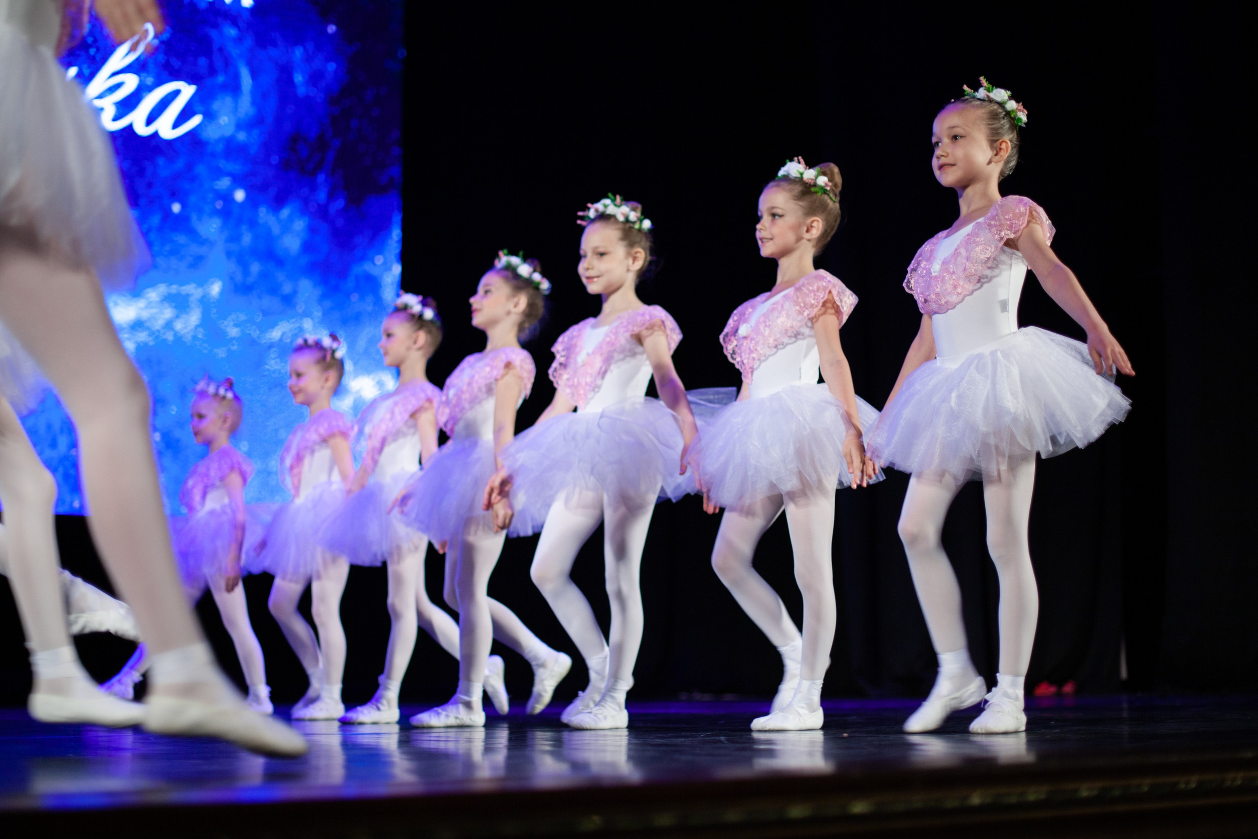 Концерты. Виолетта Скрипка