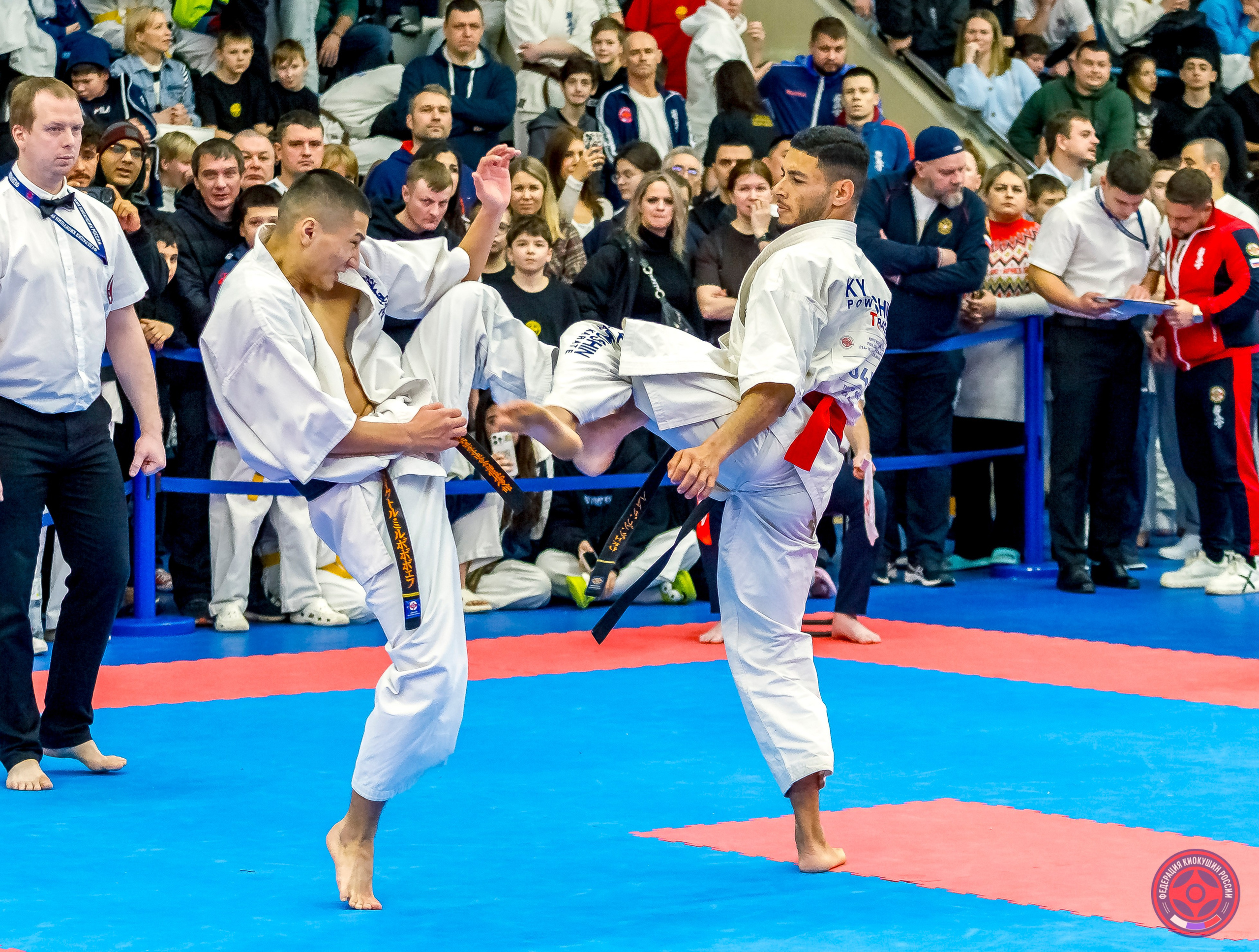 Международный турнир по киокушин «Открытый кубок Seiken». Репортажная съемка в Москве и области. Анималистика