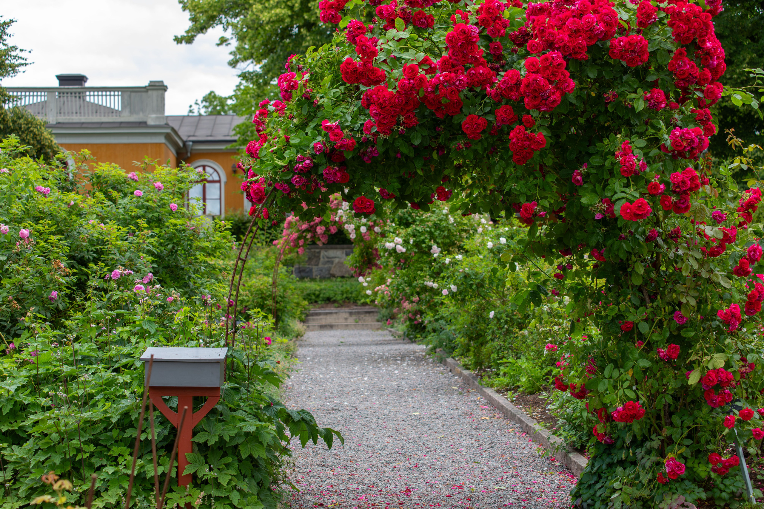 Sweden, Skansen. Воройская Анна