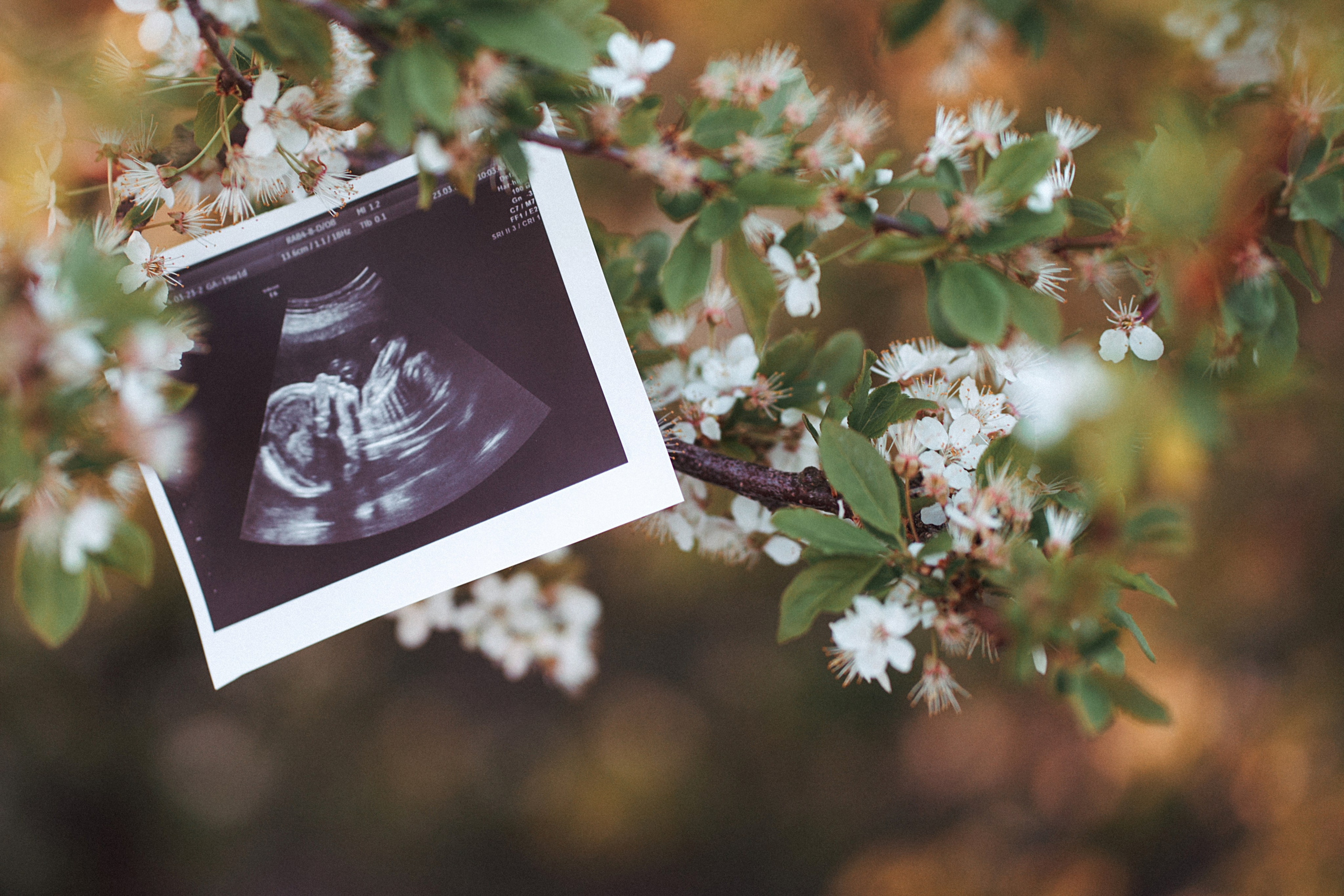 Индивидуальные. Главная