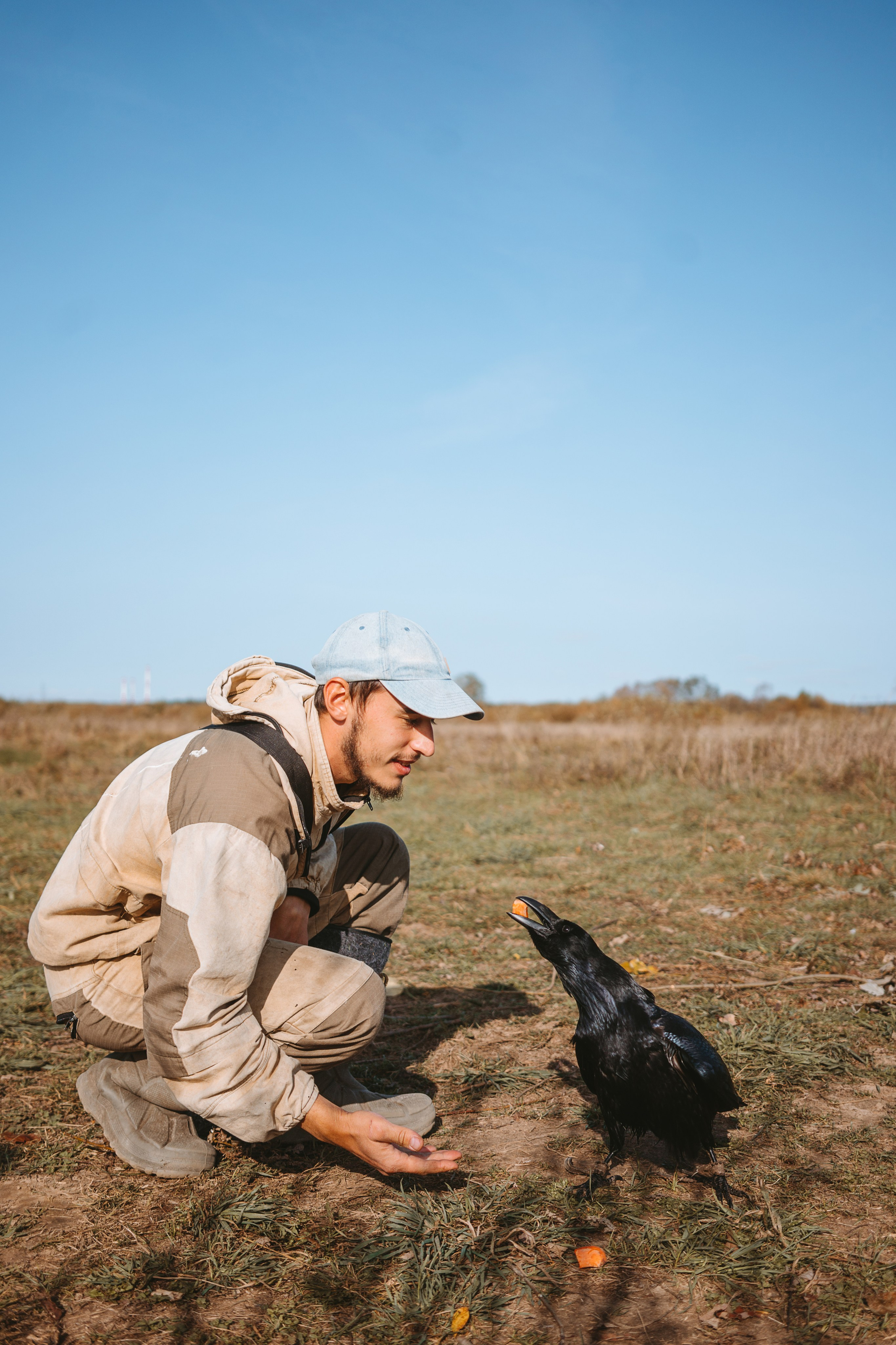 Художественные. Главная