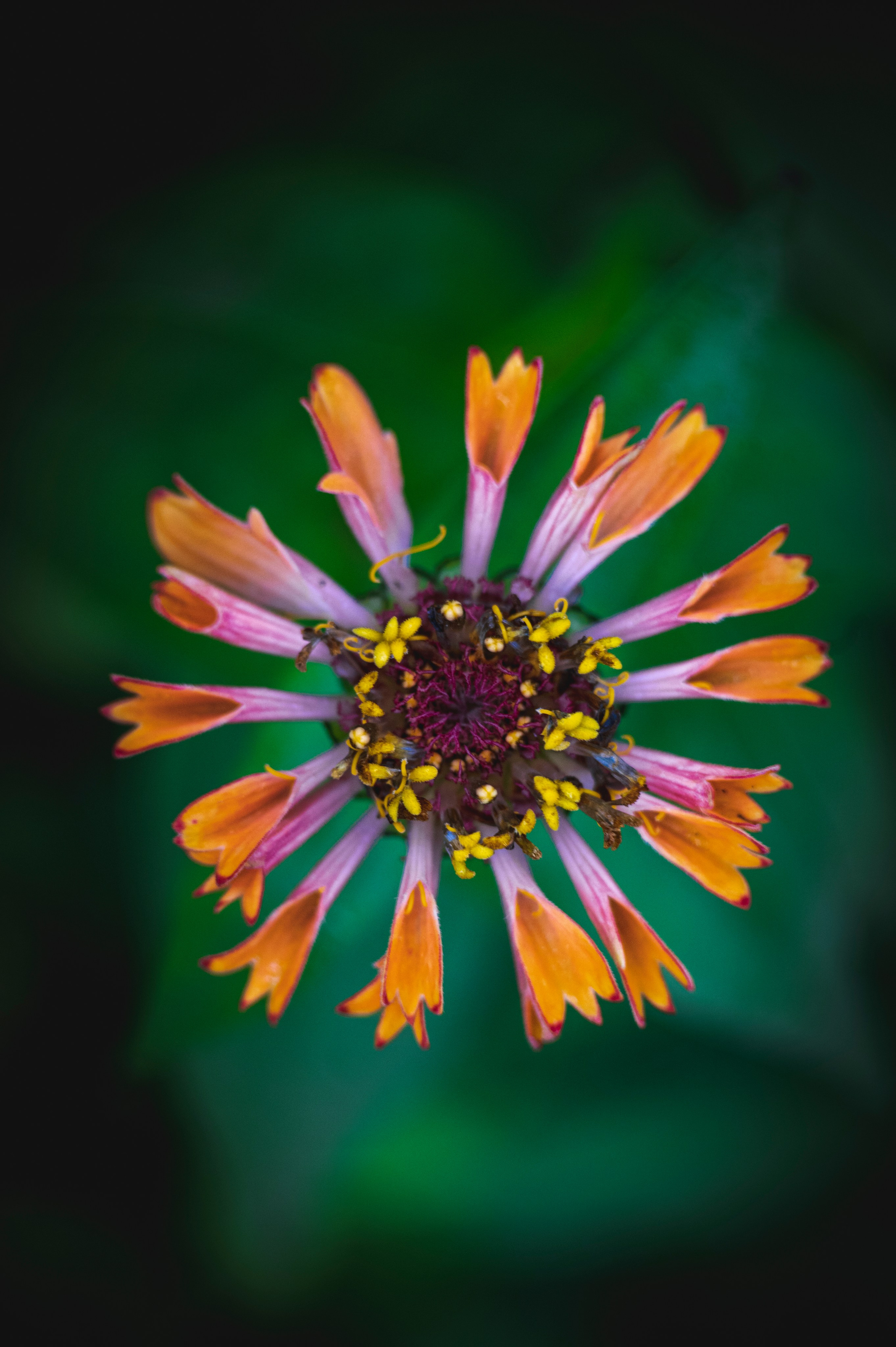 Фотопрогулка ДР. Фотограф Роман Адлер