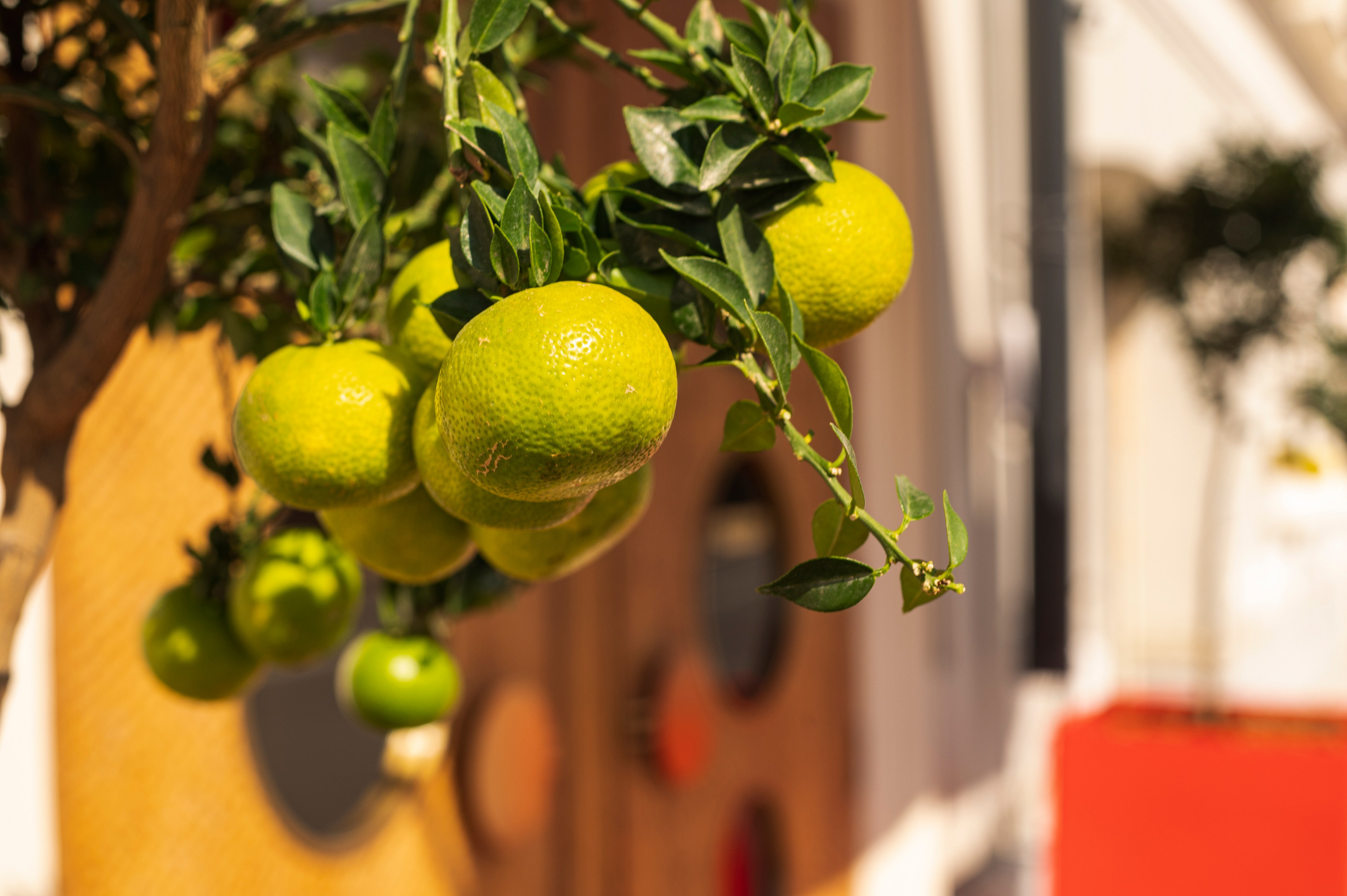 Фотопрогулка по Москве. Фотограф Роман Адлер