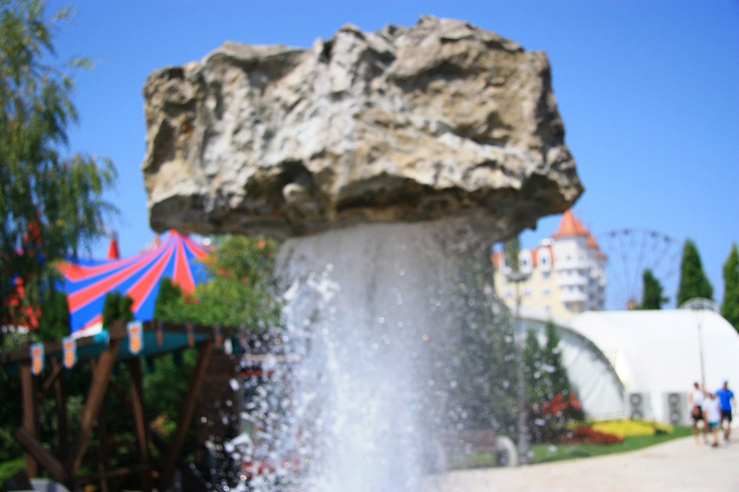 Первые кадры. Сочи — парк. Фотограф Роман Адлер