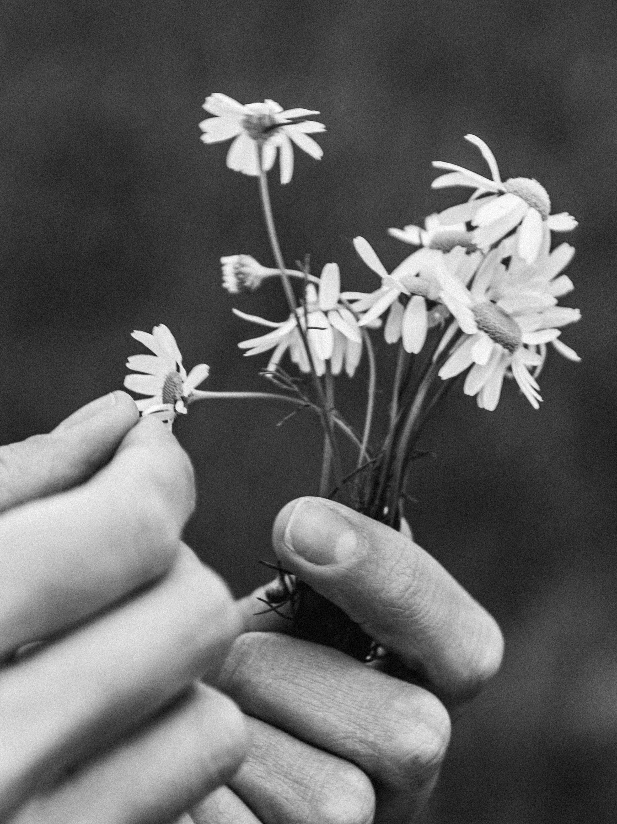 Лера. Главная