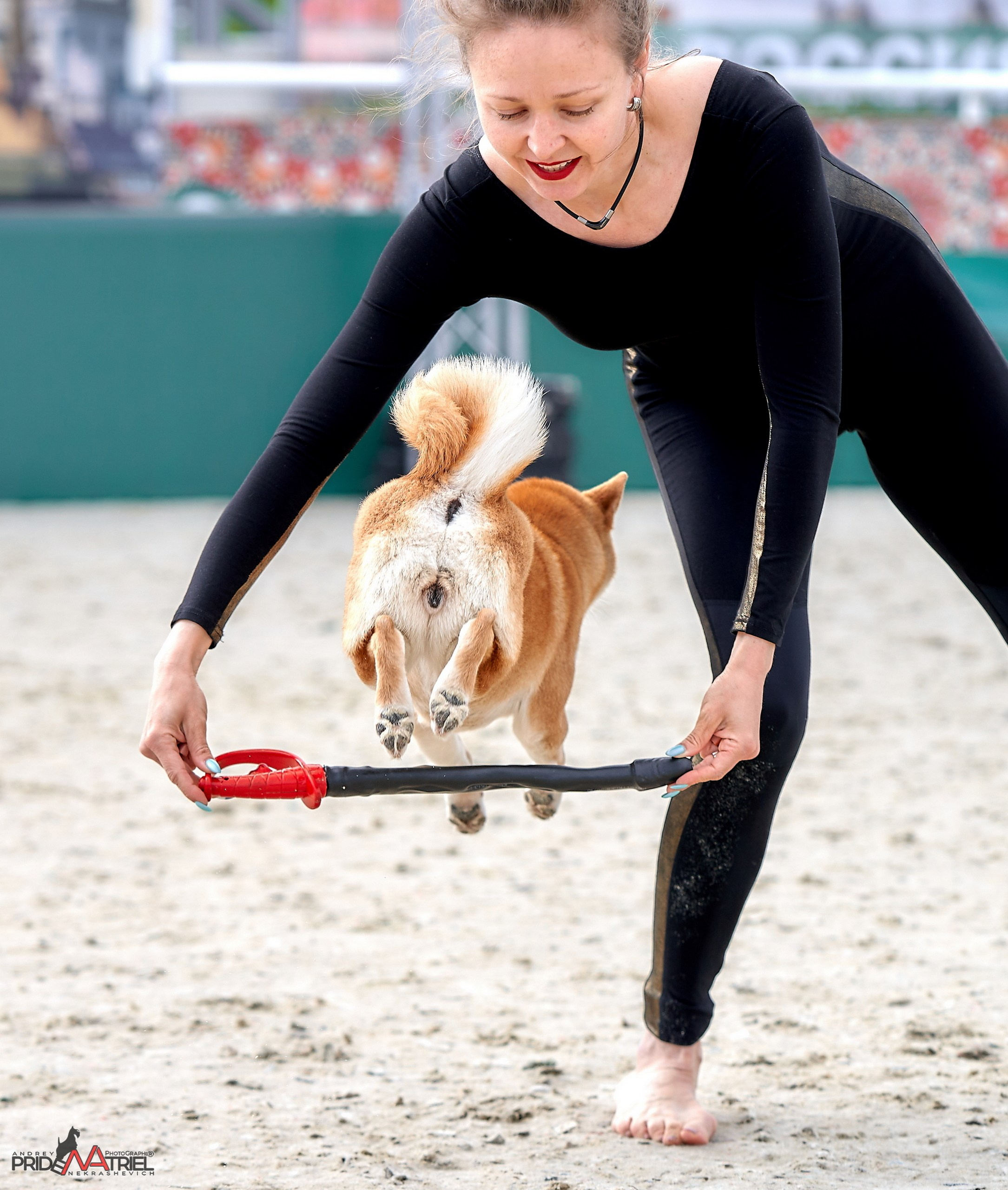 Обидиенс и танцы с собаками — галерея NATRIEL