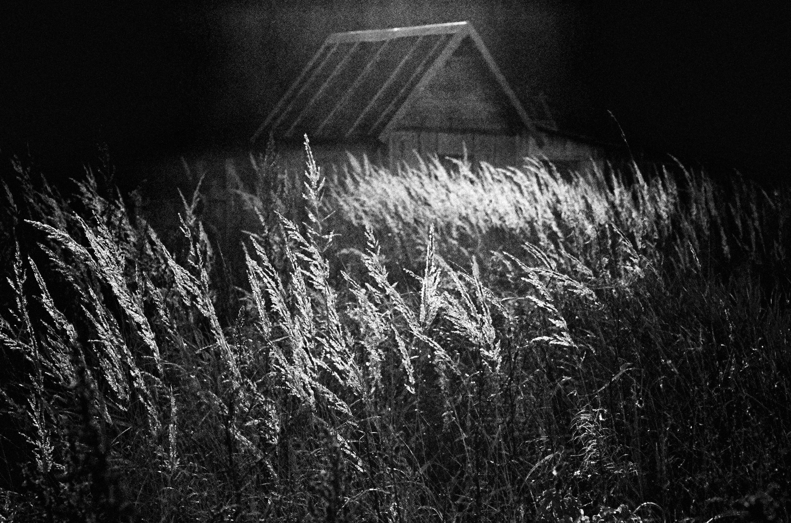 Поздняя осень в Подмосковье.