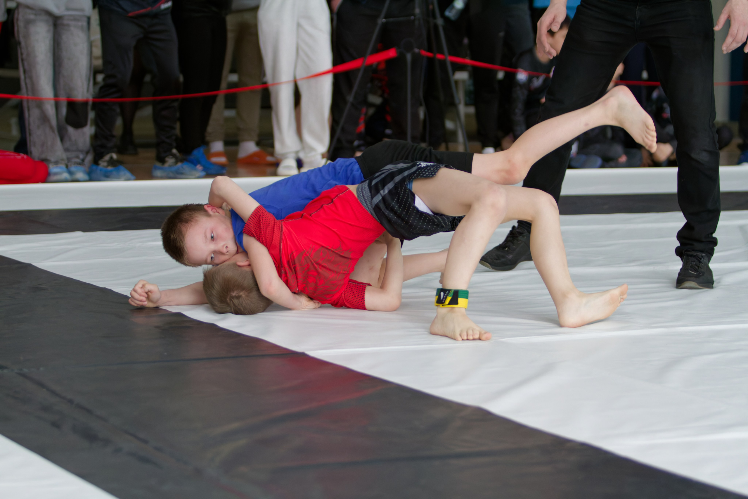 Борьба. Джиу-джитсу 26.04.2025. Репортажный и спортивный фотограф в г. Пермь Зильберг Павел