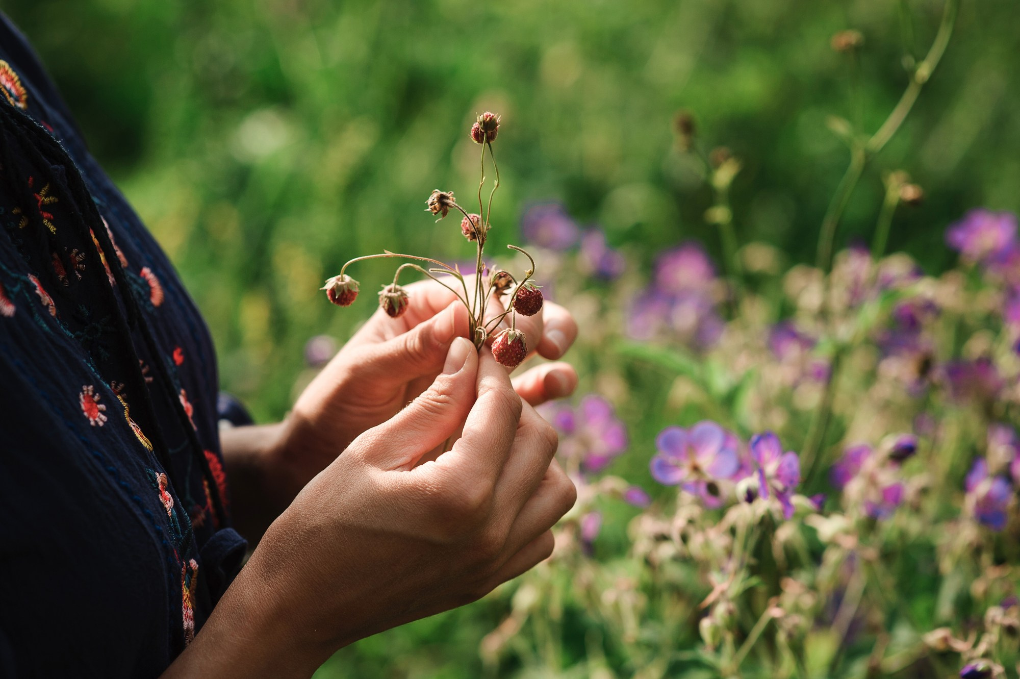 Дивное утро. Семейный и женский фотограф Красноярск Екатерина Пусенкова