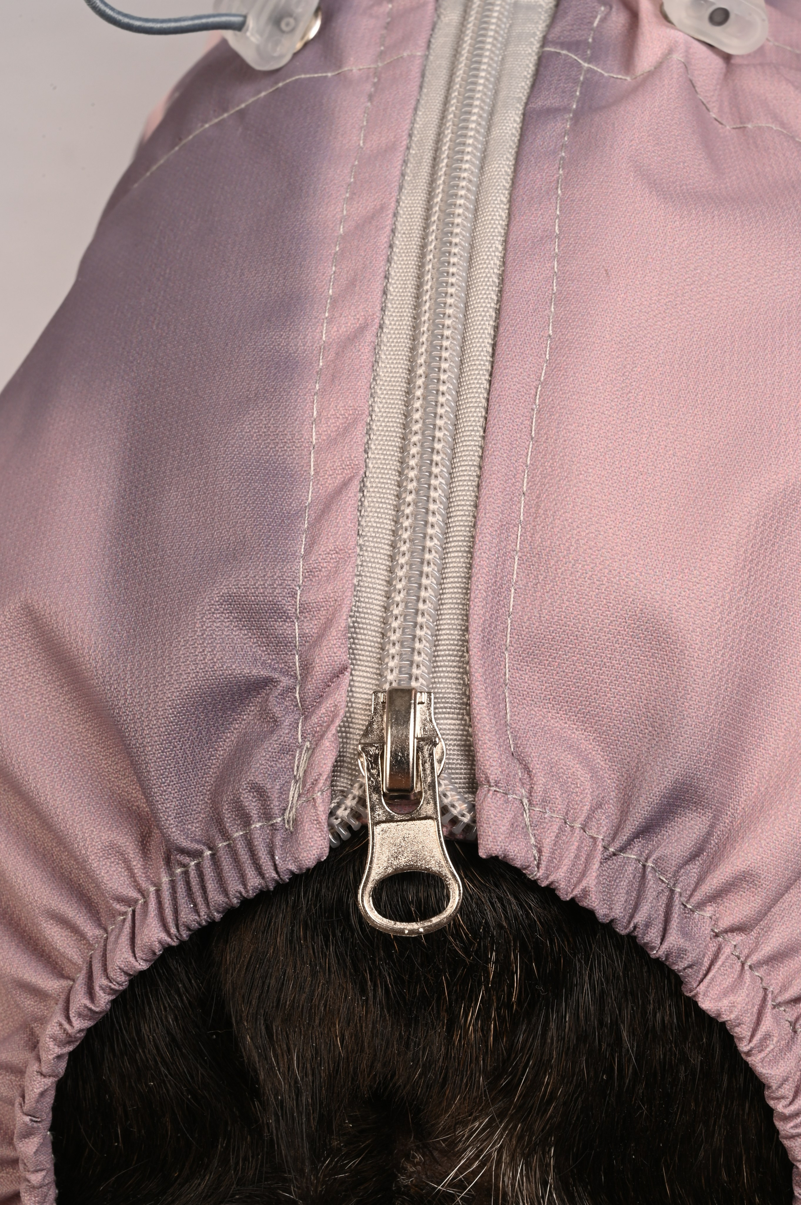 Одежда для собак. Семейный и детский фотограф во Фрязино, Ивантеевке и Щелково Матвеева