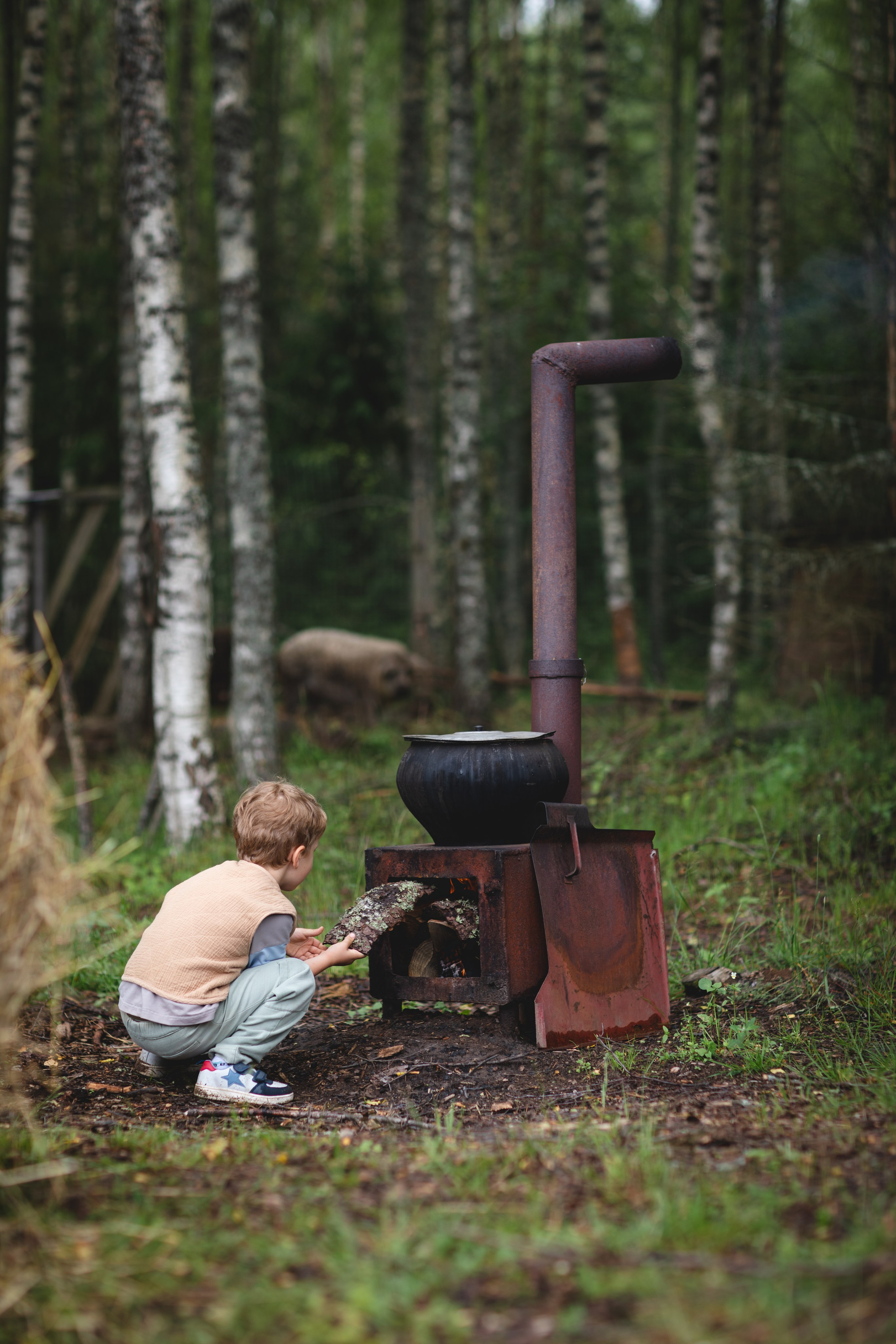 Фототуур «Край озёр» Лето. Семейный фотограф в Москве Анастасия Гурьянова