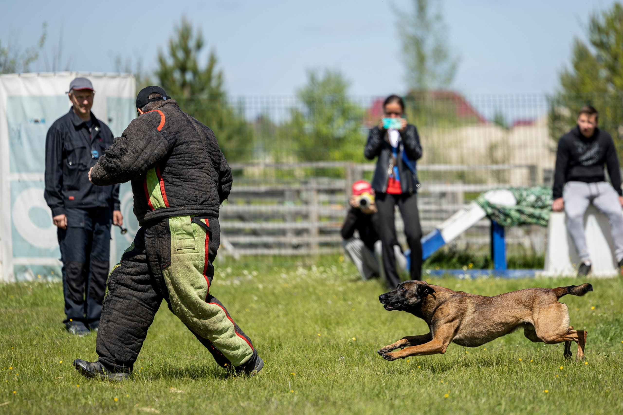 Испытания по мондьорингу в Нижнем Новгороде. Фотограф-анималист Анна Маринич