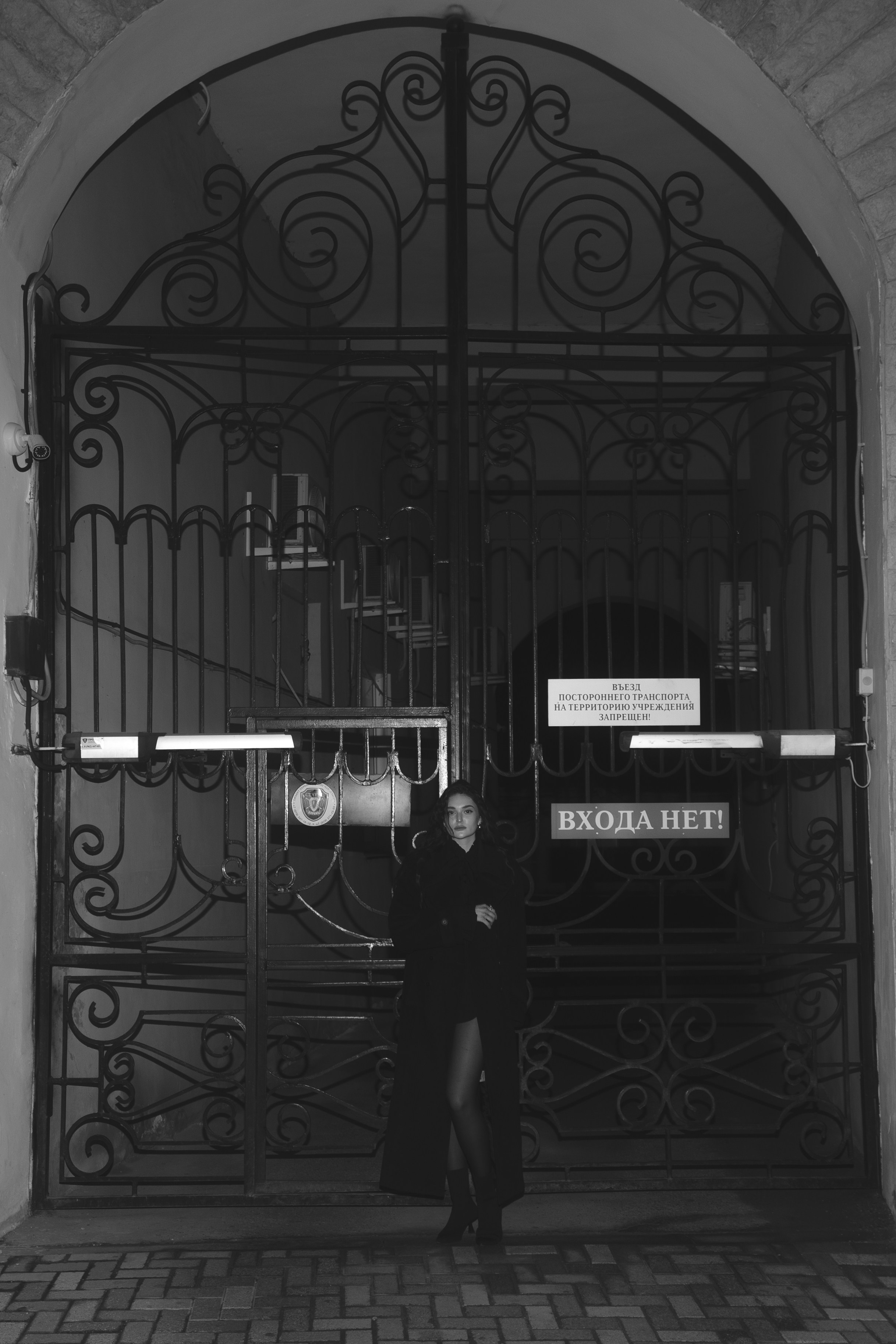 Даша. Фотограф Плеханов Дмитрий