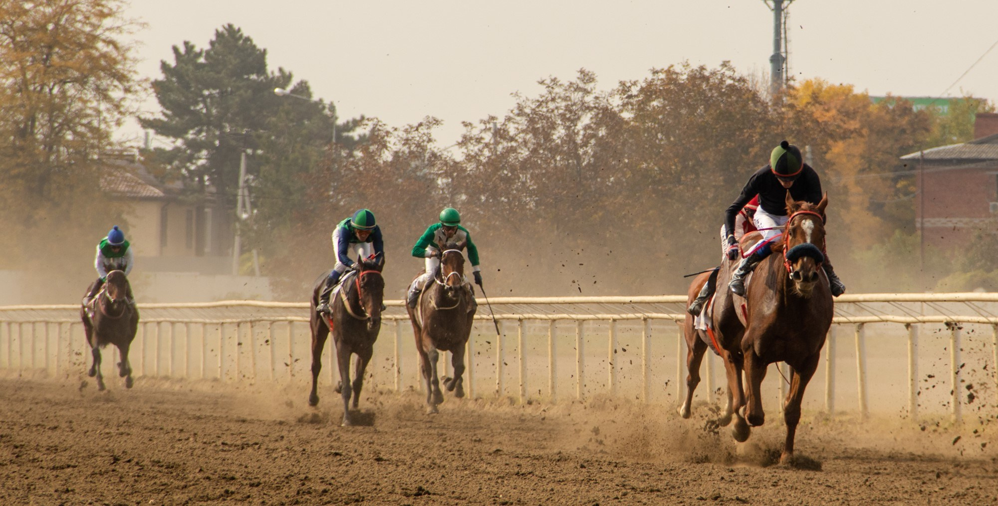Закрытие скакового сезона на Краснодарском ипподроме. Репортажный, промышленный и маркетплейс-фотограф Дмитрий Чернат