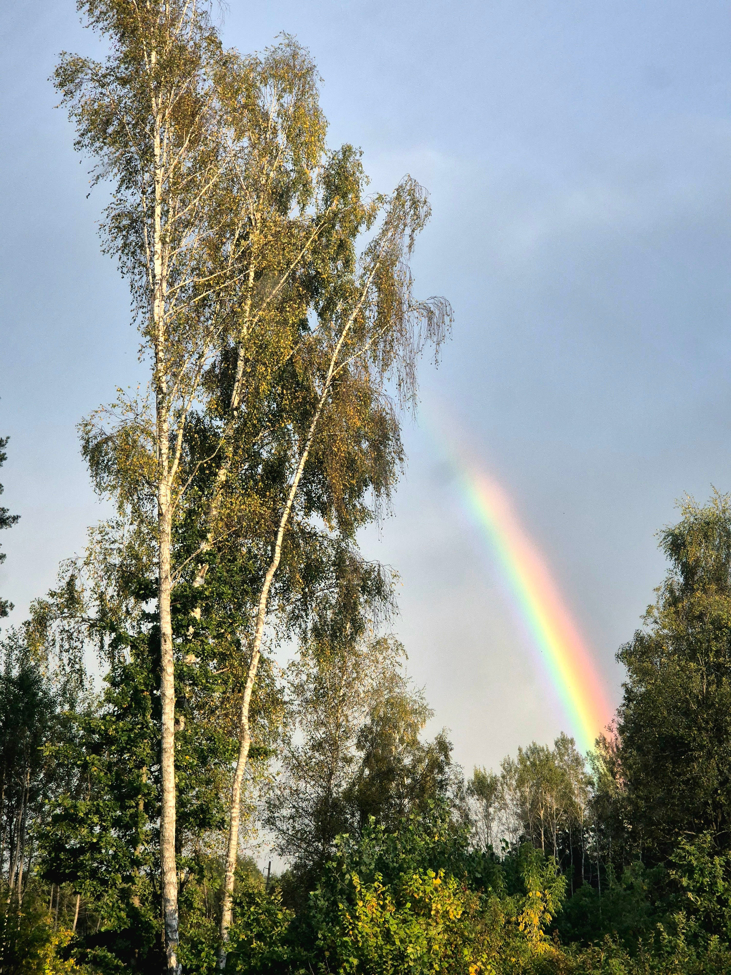 Но солнышко с нами, радугой разогнало непогоду