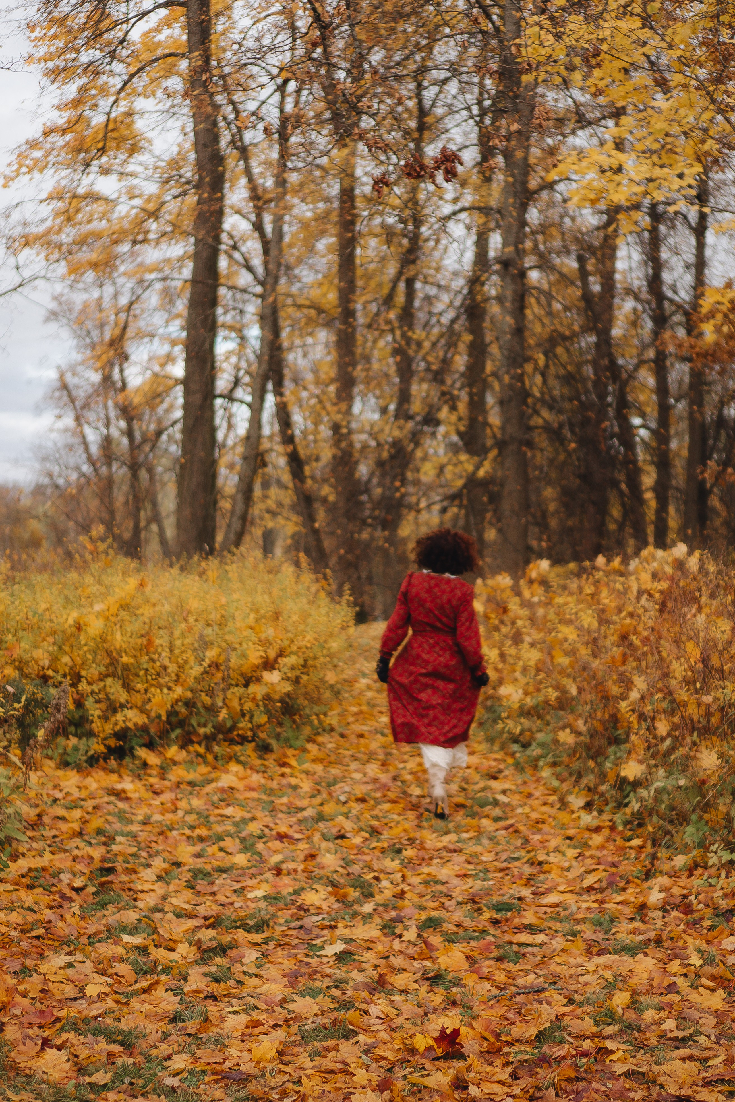 Осенний парк. Профессиональный фотограф, Санкт-Петербург — Виктория Богомолова
