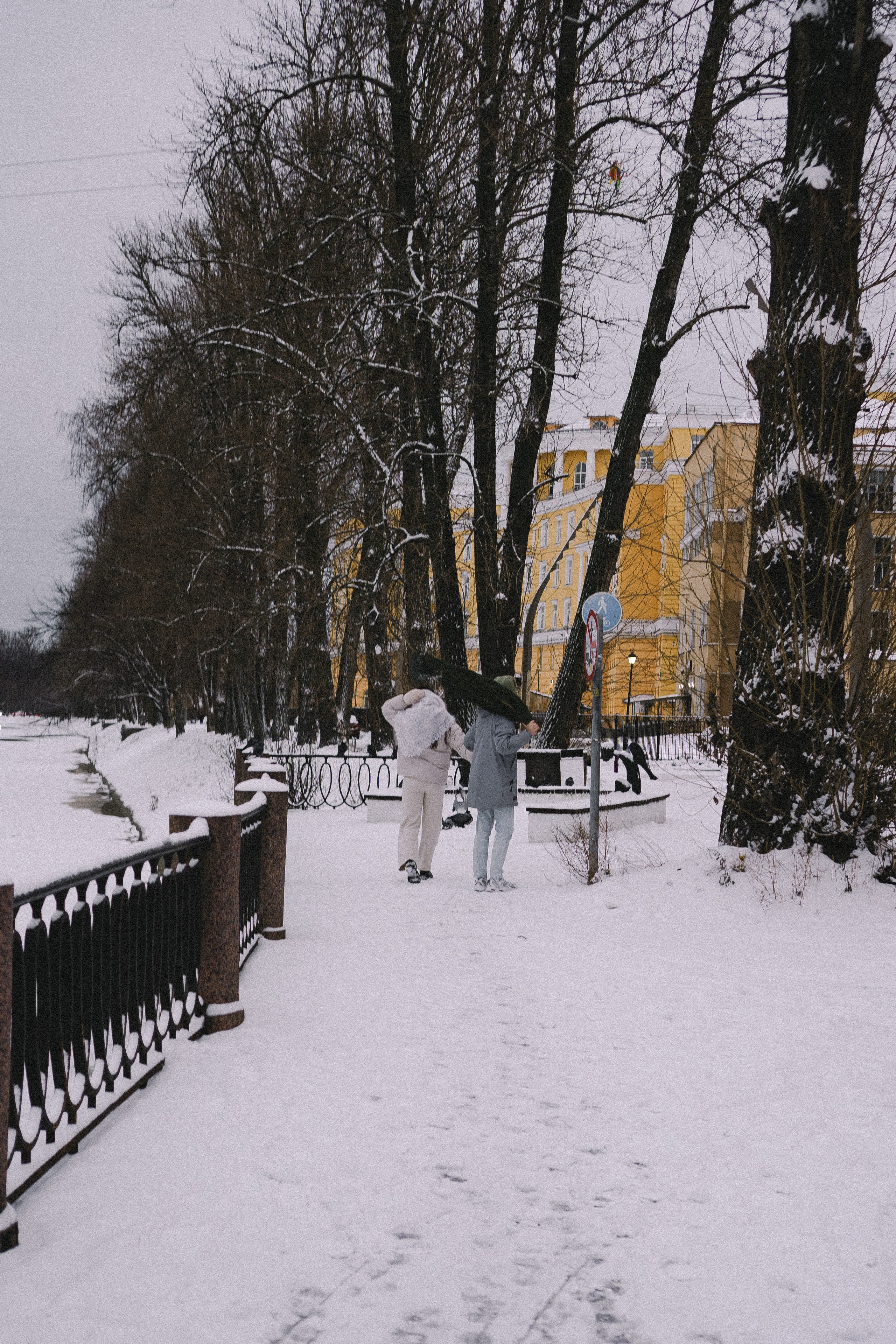 Зимняя история. Профессиональный фотограф, Санкт-Петербург — Виктория Богомолова