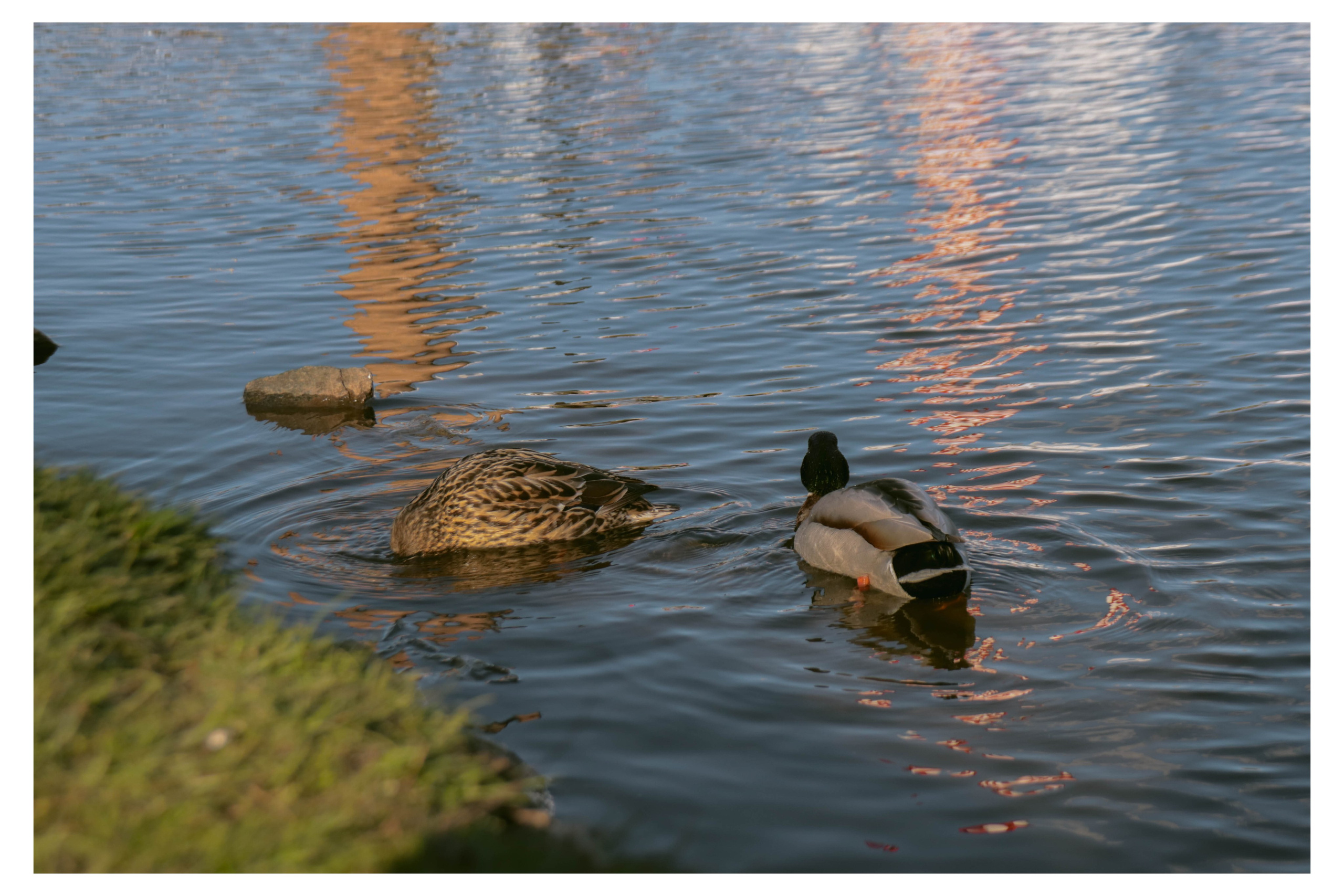 Альметьевск. Фотограф и видеограф в Бугульме Аня Трутнева