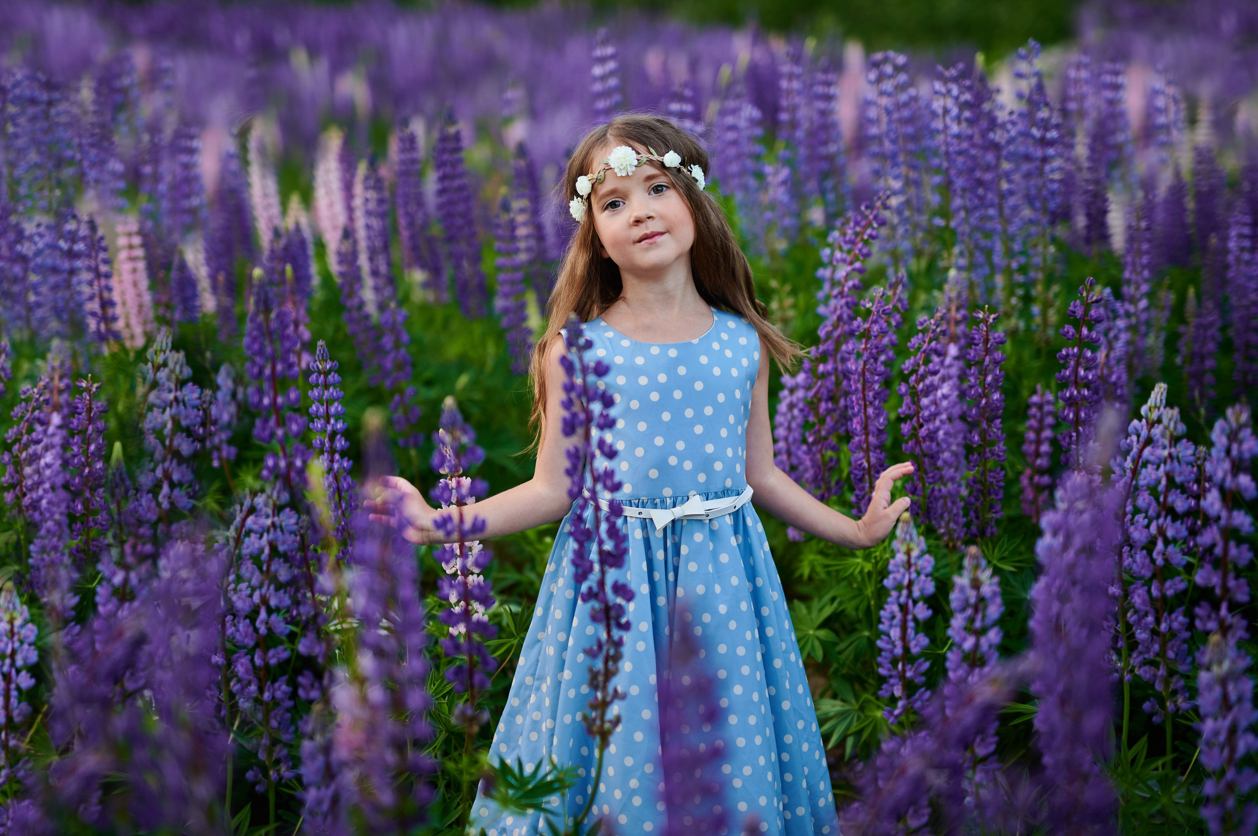 Счастье в люпинах. Портретный, семейный и свадебный фотограф в Санкт-Петербурге и в Пушкине Ширяев Денис