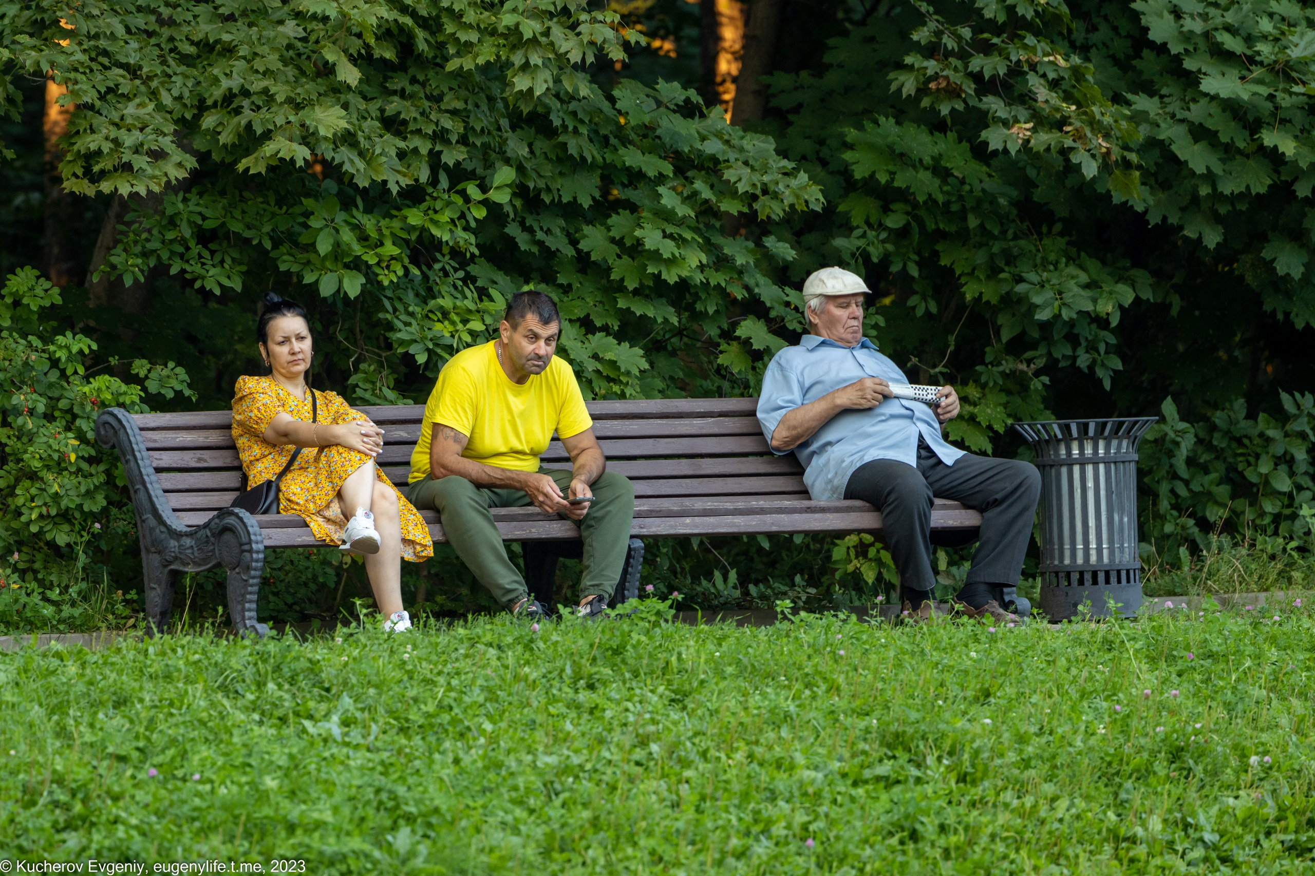 Скамейки. Кучеров Евгений. Фотограф