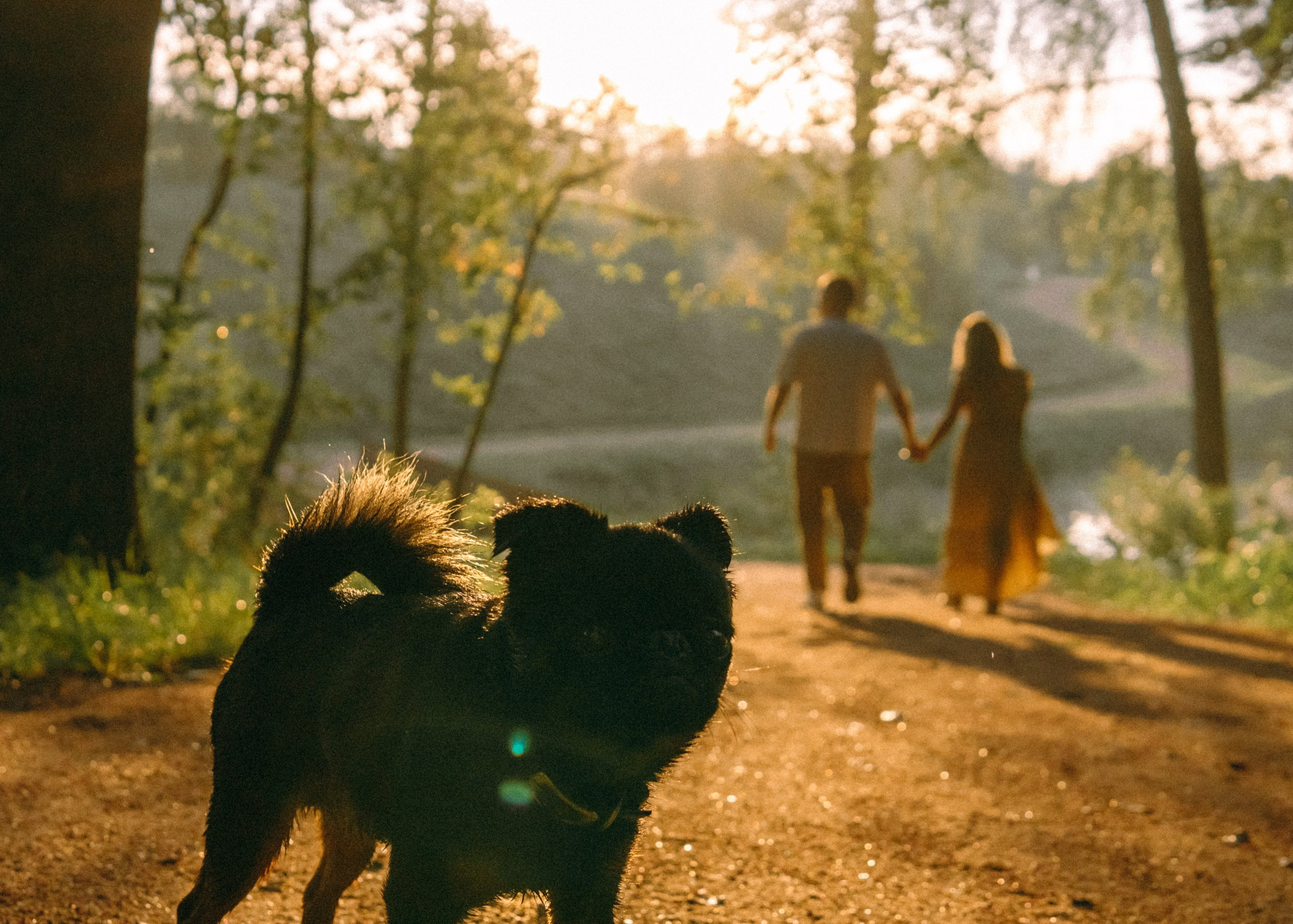 Оксана, Кирилл и Кеша. Фотограф-анималист Ксения Воробьева, Москва