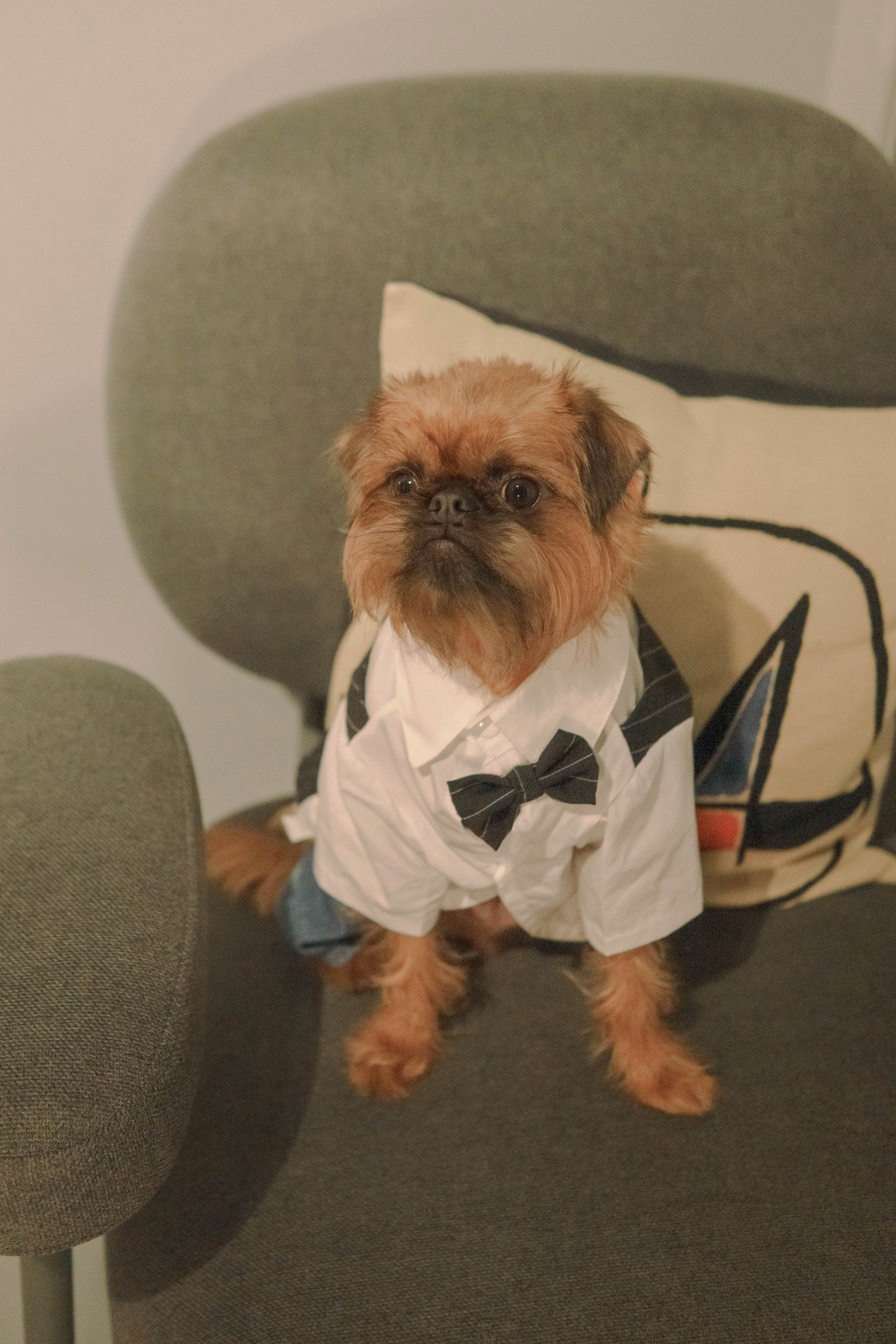 Наташа и Хавьер. Фотограф-анималист Ксения Воробьева, Москва