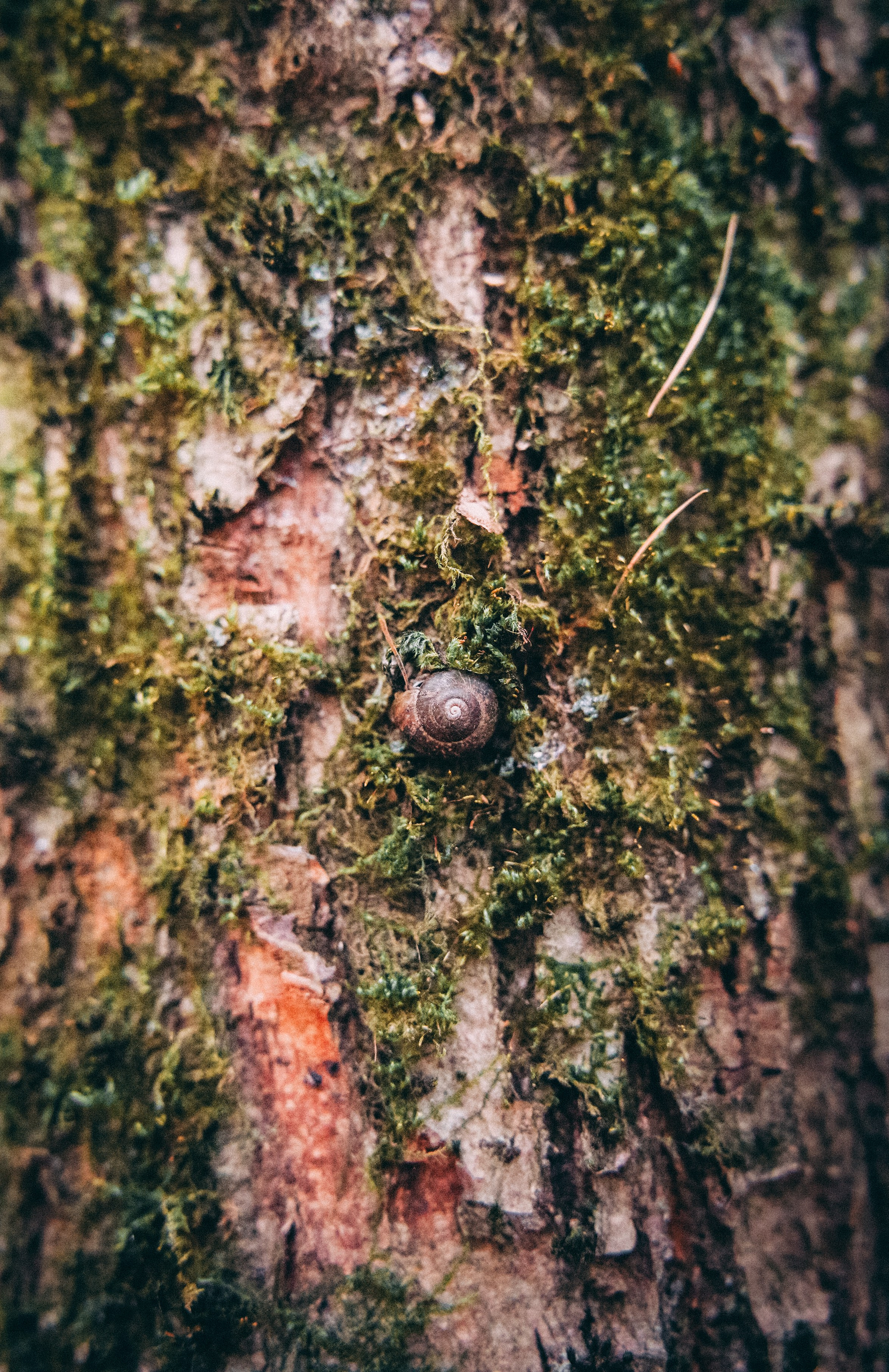 Осень 2025. Фотограф из Москвы — DASHA NOVA | Авторская фотография в разных жанрах