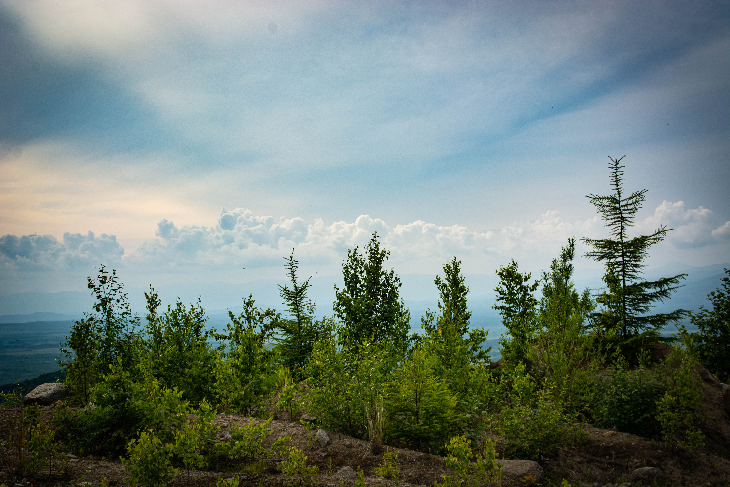 Природа в фотографии, взгляд на прекрасное через объектив фотоаппарата. Елена Волкова семейный фотограф в станице Гостагаевской города-курорта Анапа