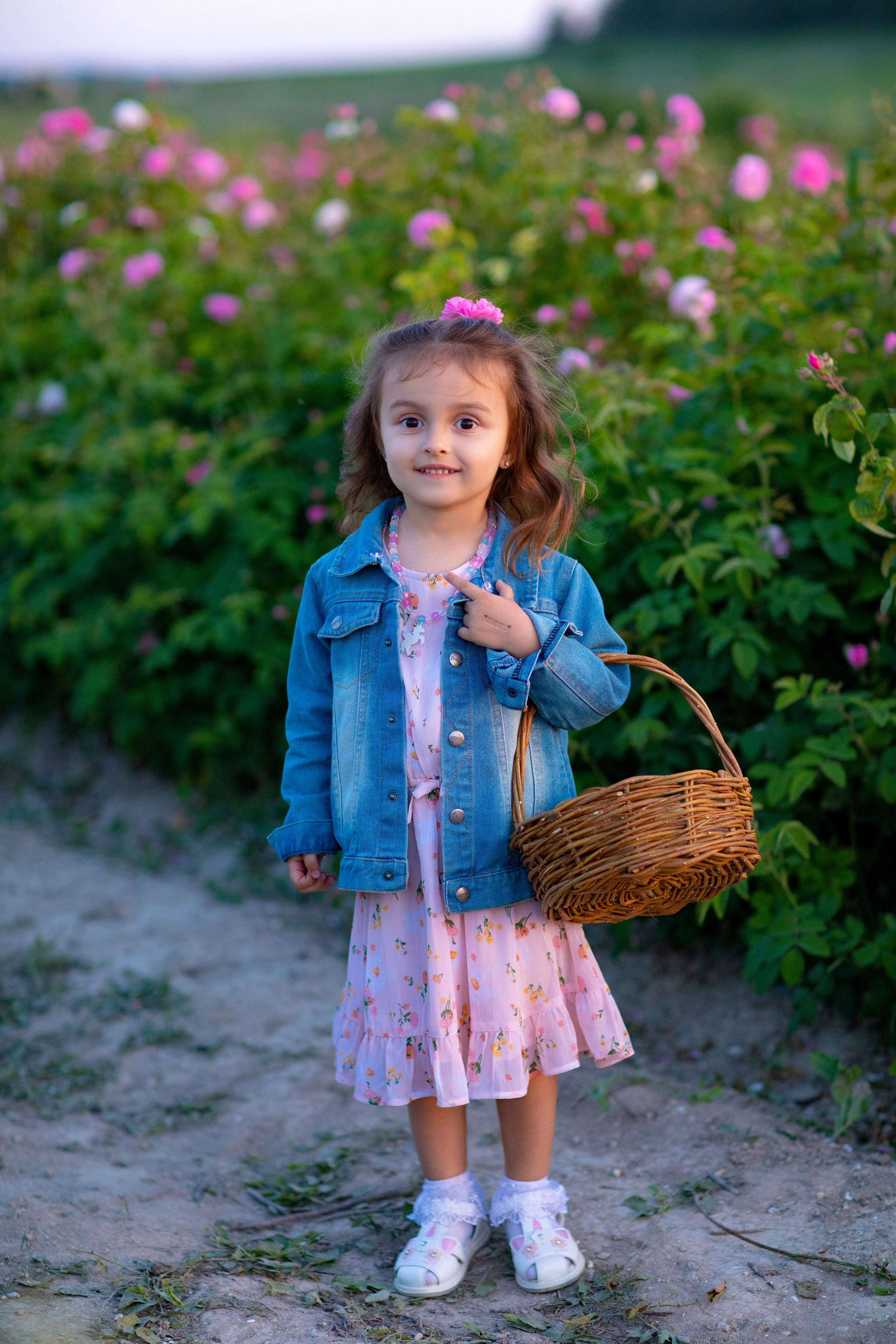 Чайная роза. Фотограф Севастополь/Крым Светлана Евтушенко