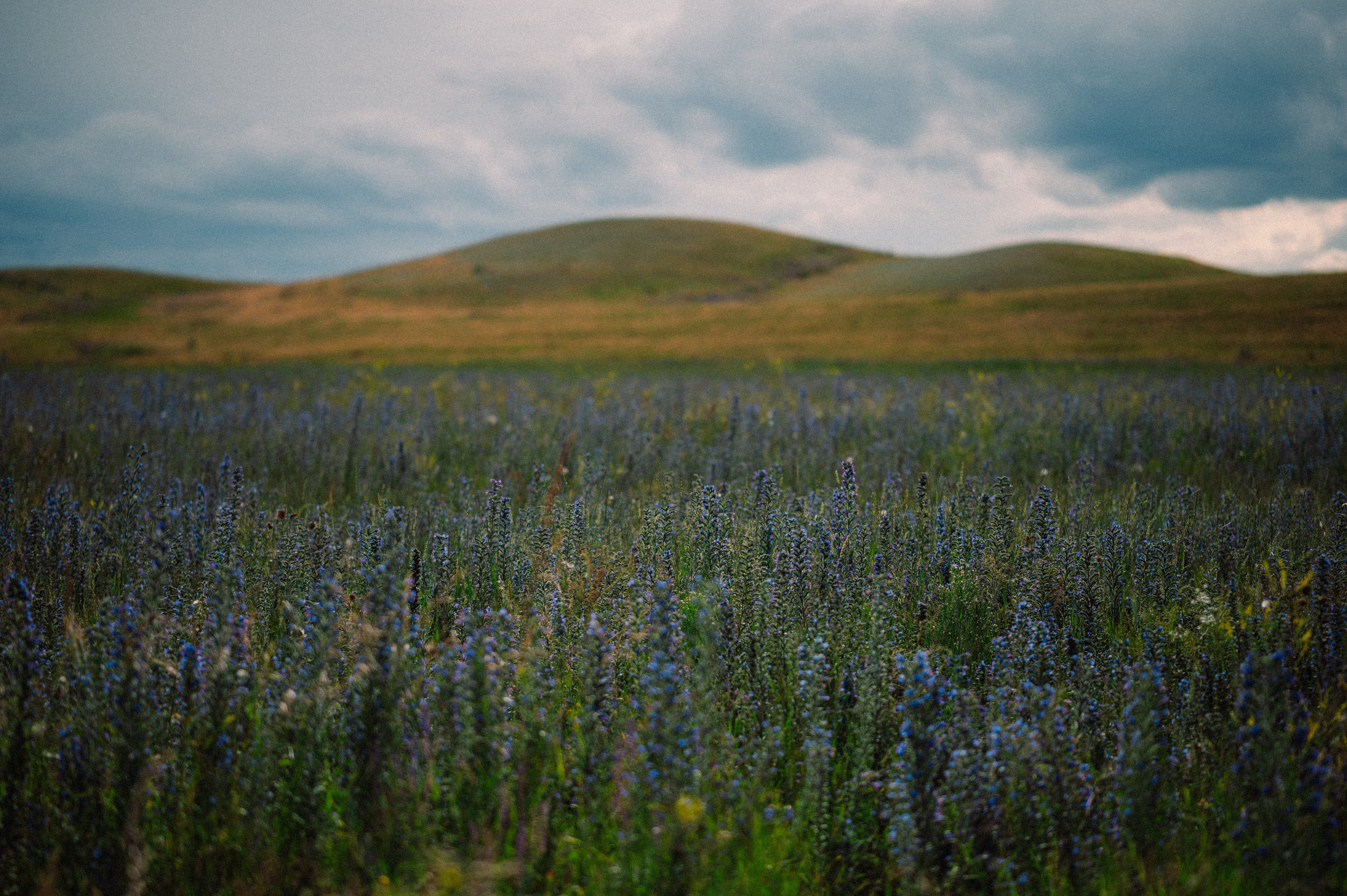 Чарын-Кольсай: лето 2024. Фотограф в Алматы — Дарья Фёдорова