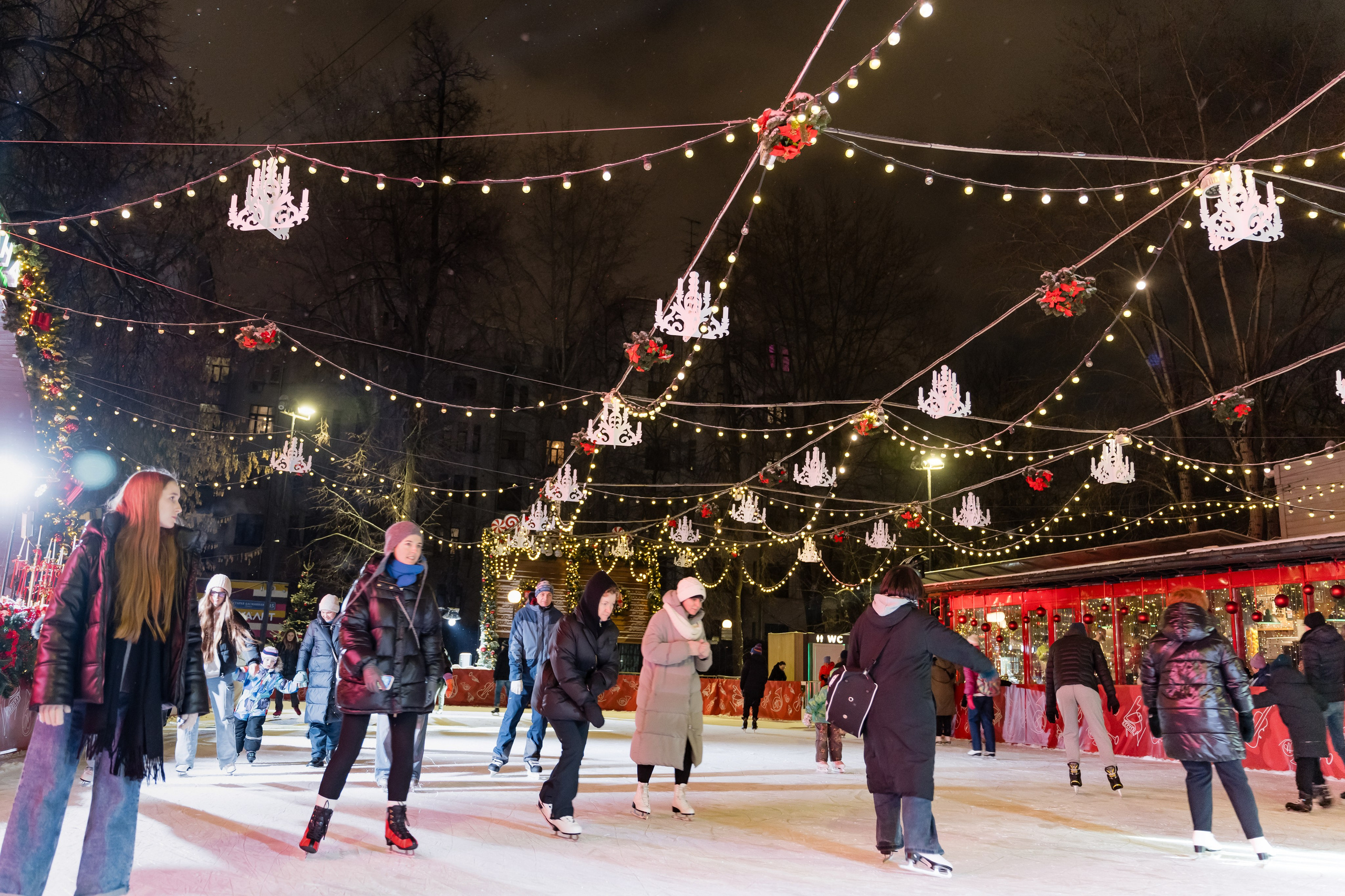 Ледяная симфония. Сад им. Баумана. 04.01.2025