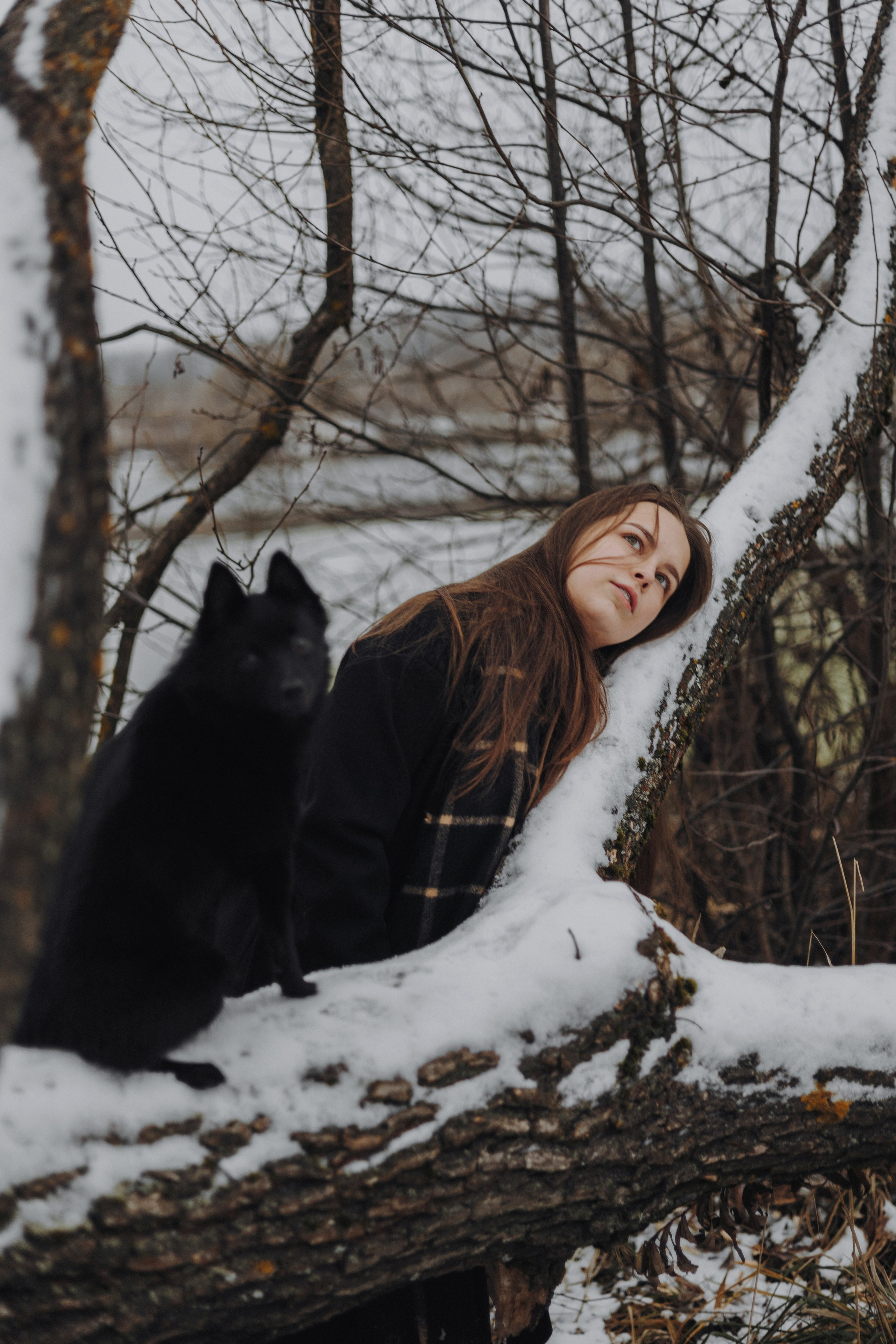Юля, Лара и Йоми. Фотограф-анималист Богданова Полина