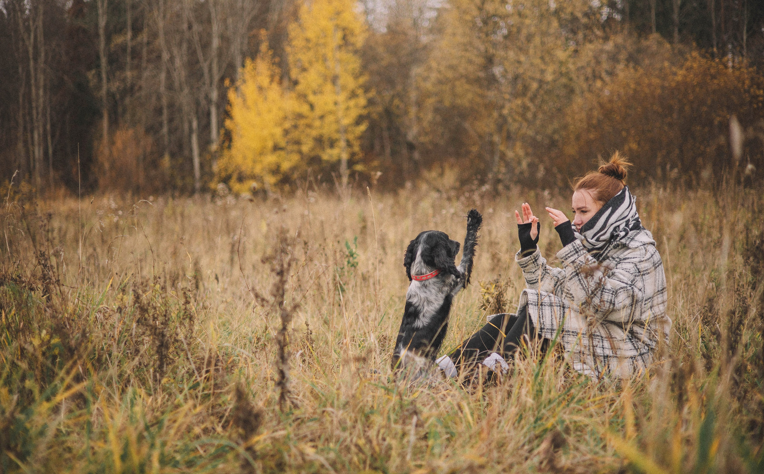 Вика и Ава. Фотограф-анималист Богданова Полина