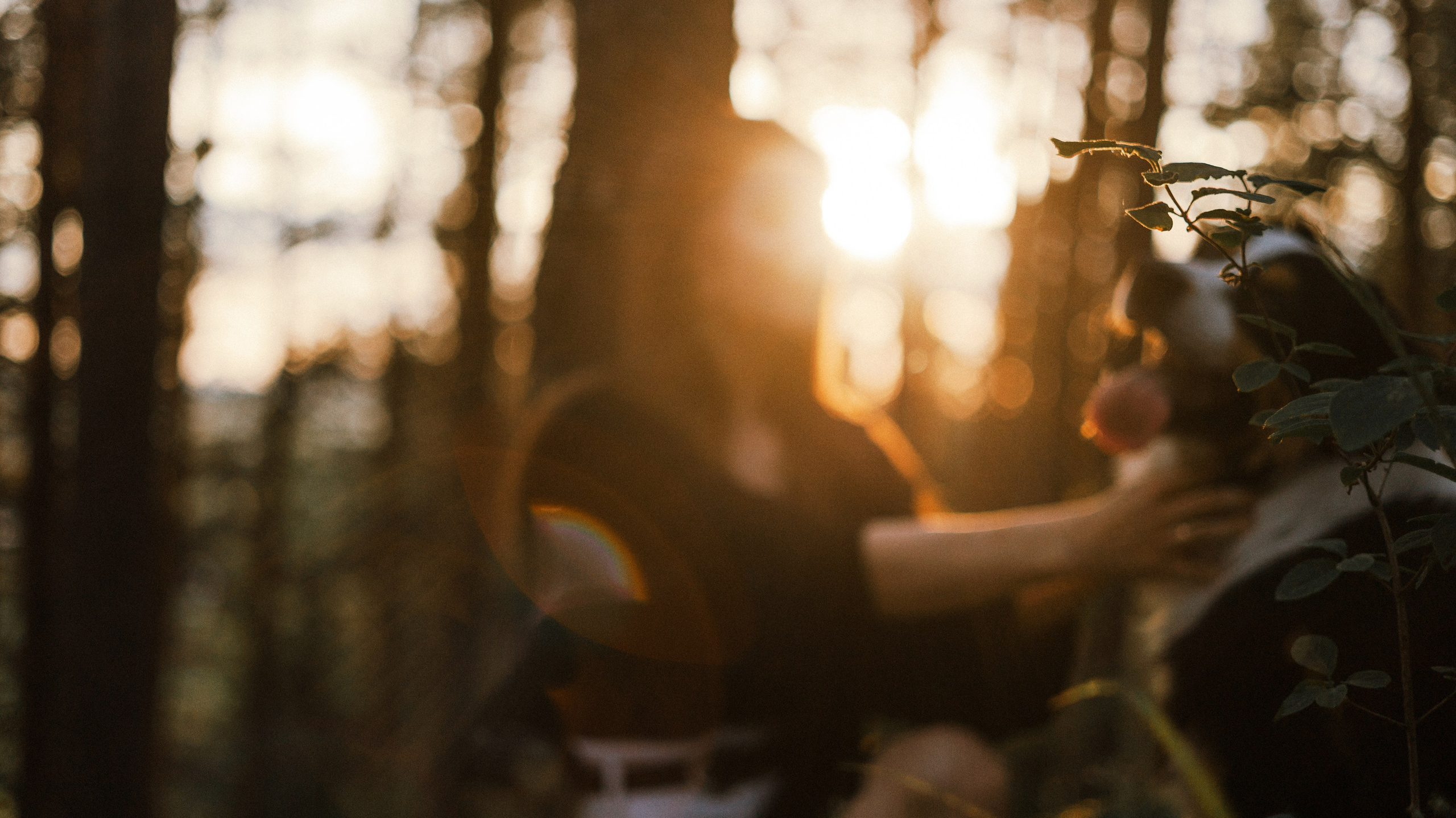 Яна и Уга. Фотограф-анималист Богданова Полина