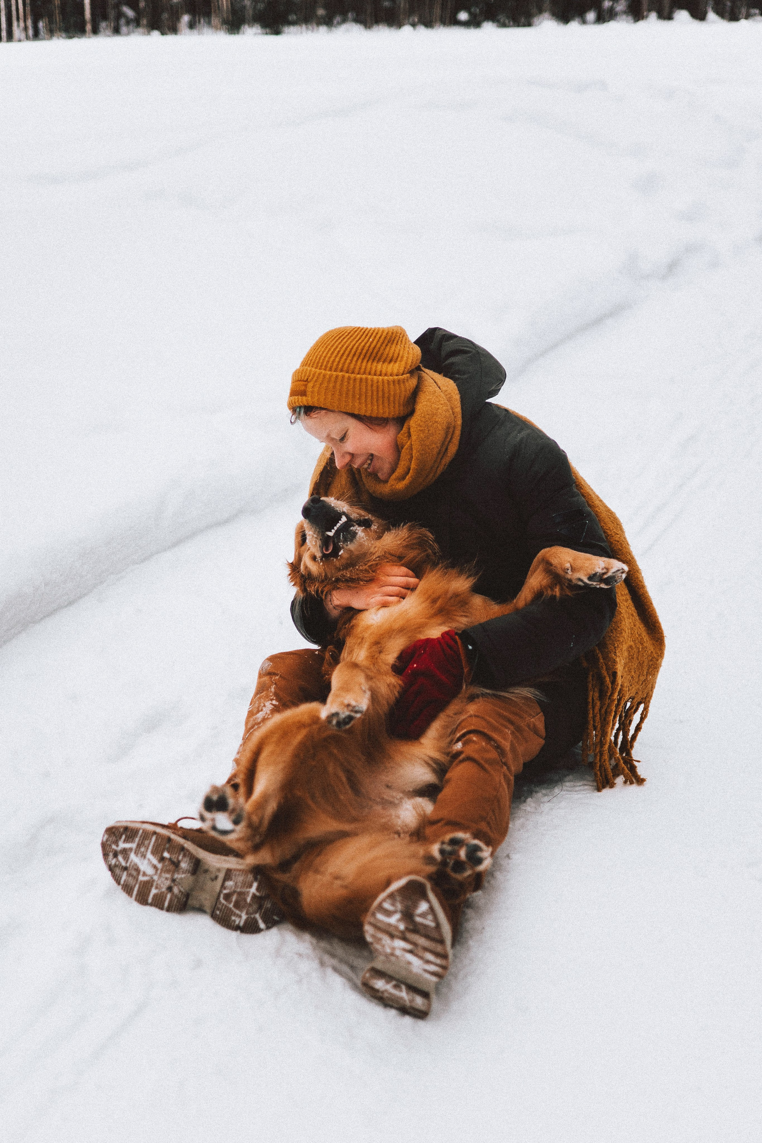 Саша, Юля, Грэй и Джой. Фотограф-анималист Богданова Полина