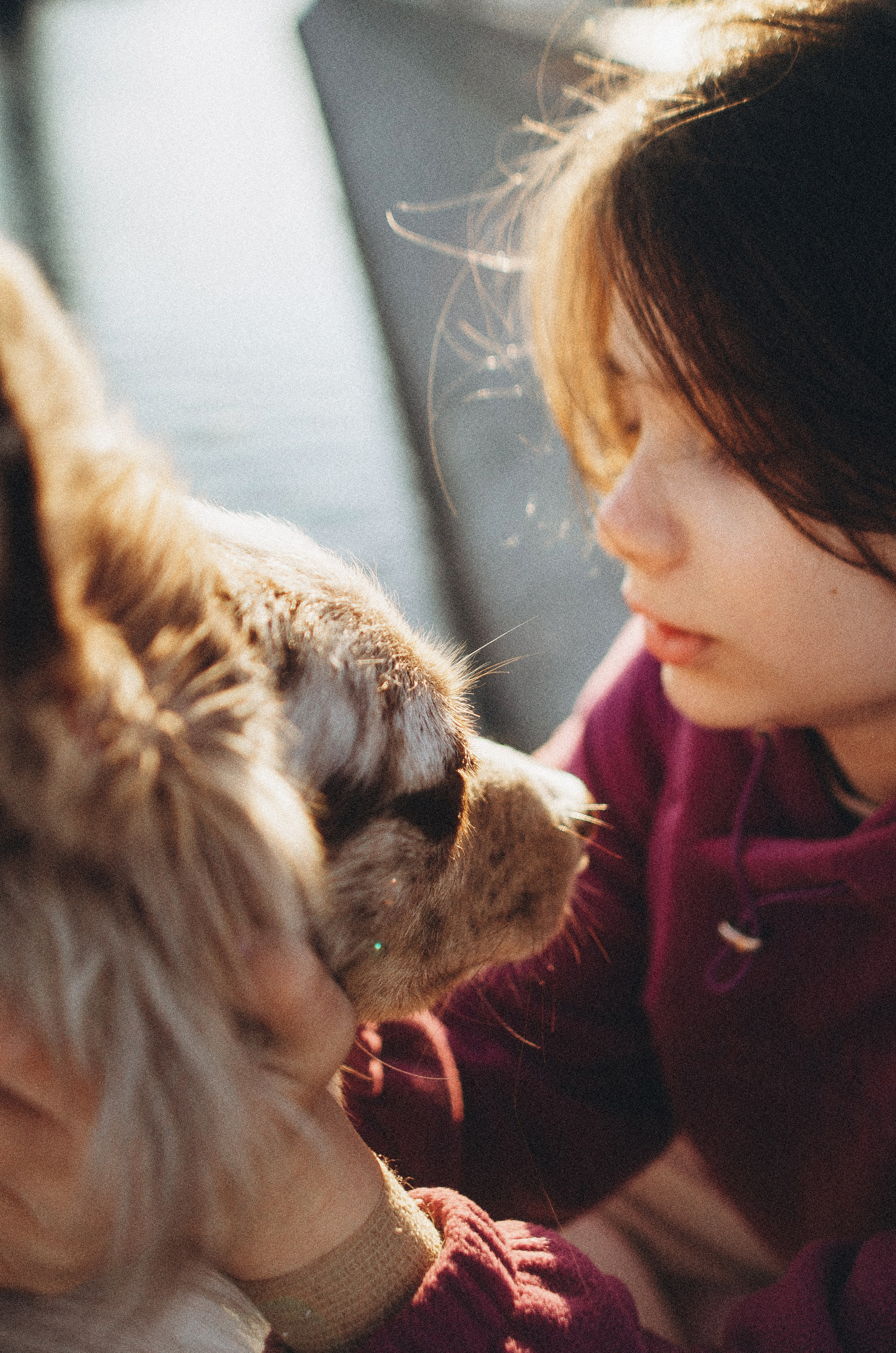 Аня и Дэймон. Фотограф-анималист Богданова Полина